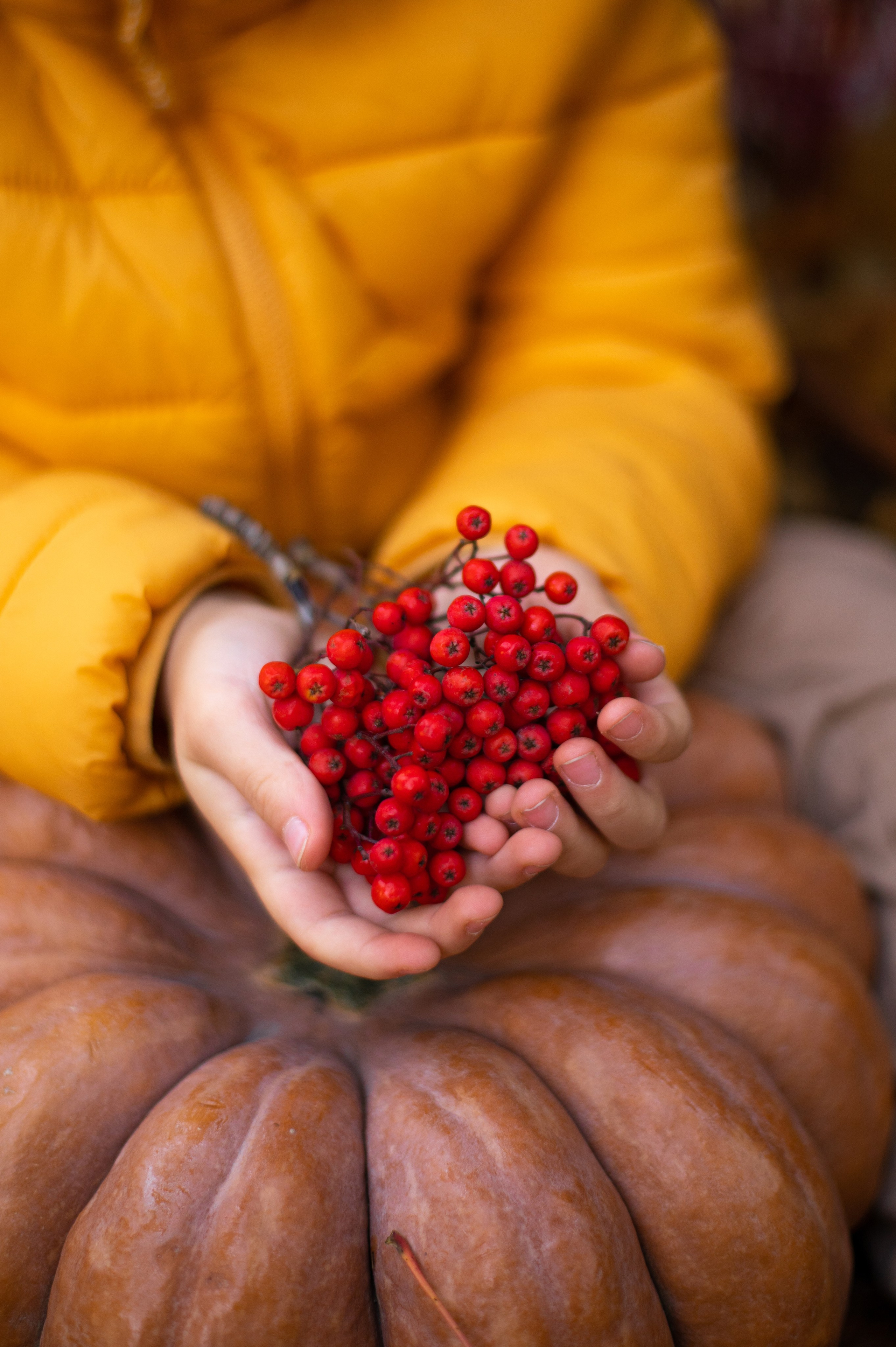 Осень в Шуваловском парке. Фотограф Санкт-Петербург | Дарья Першина