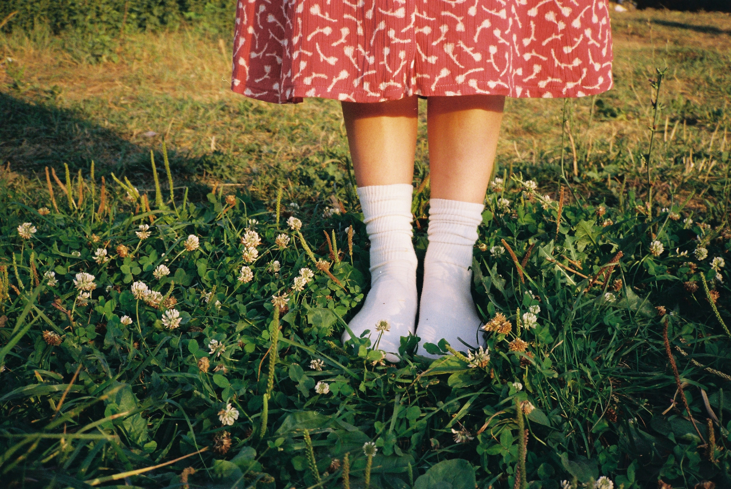 Пикник. • Фотограф Александра Светозар Алчевск •