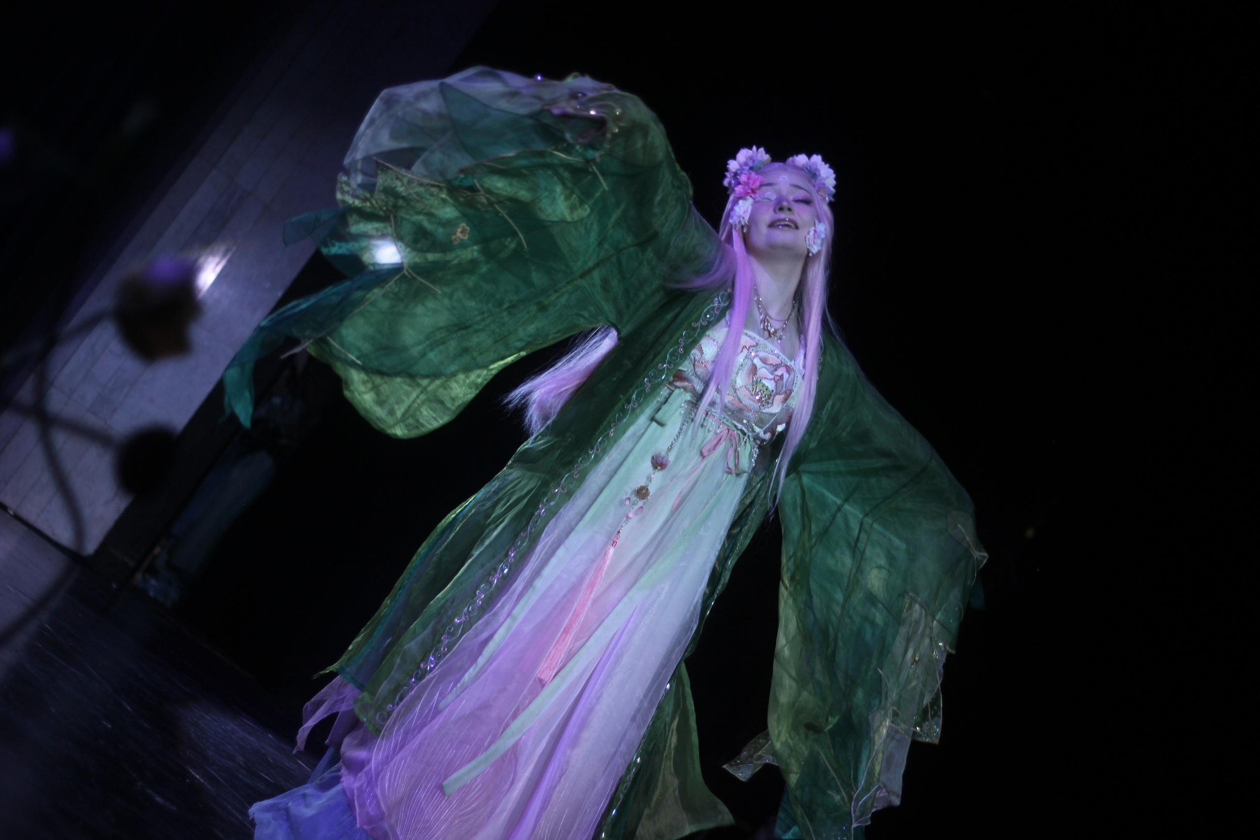 Примеры фотосъёмок (косплей-дефиле). Косплей-фотограф Birdryx