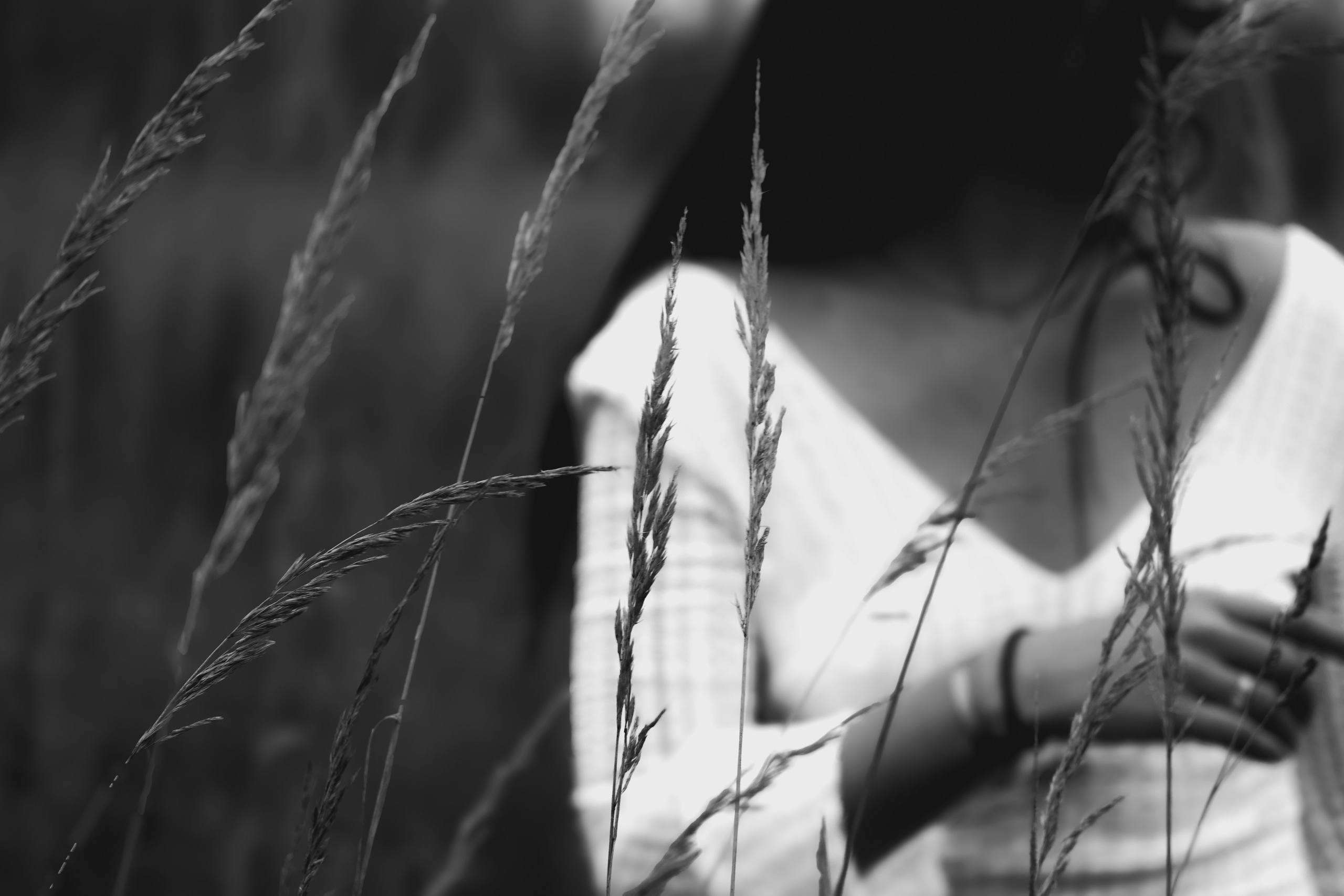 Сумерки. Елизавета Ковалевская — ваш профессиональный фотограф