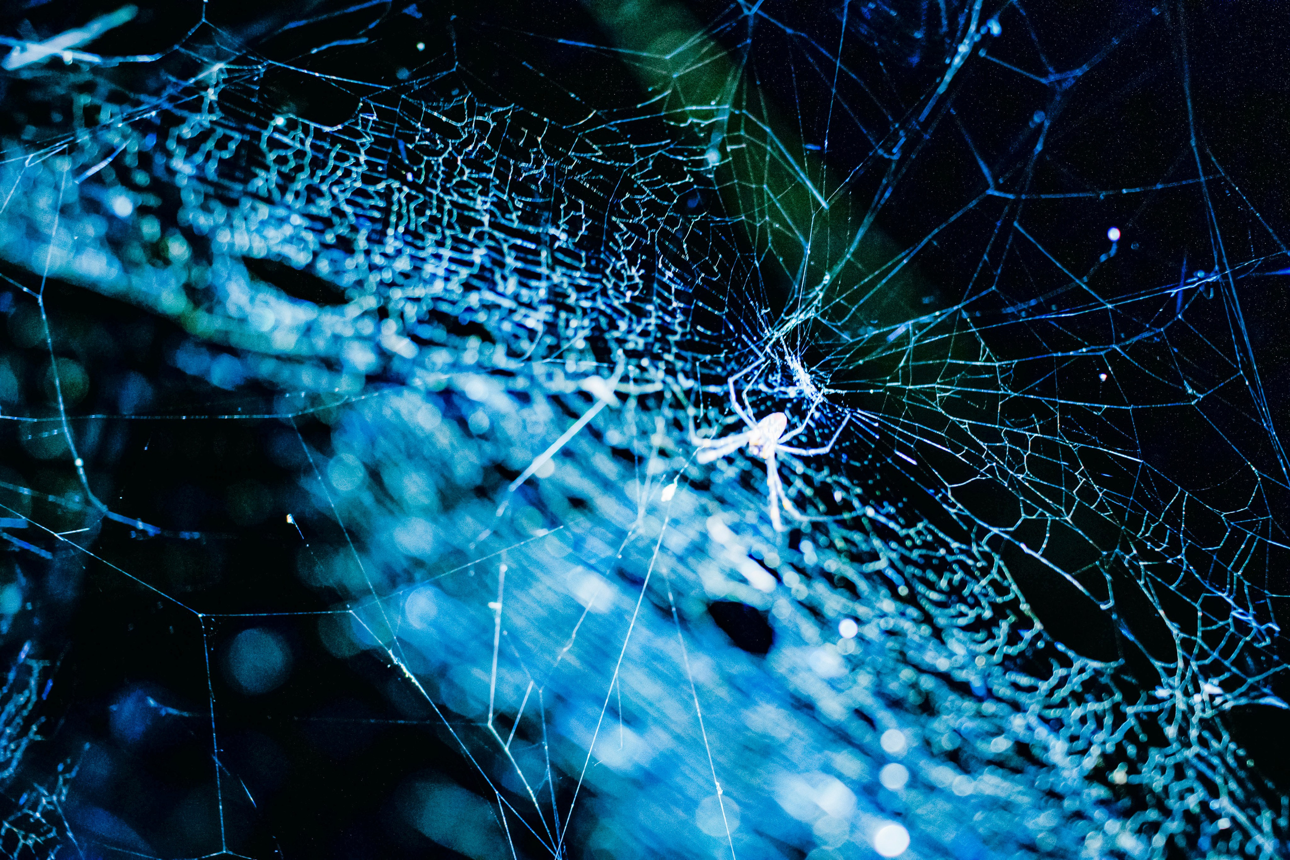 Japan village. Iraogo