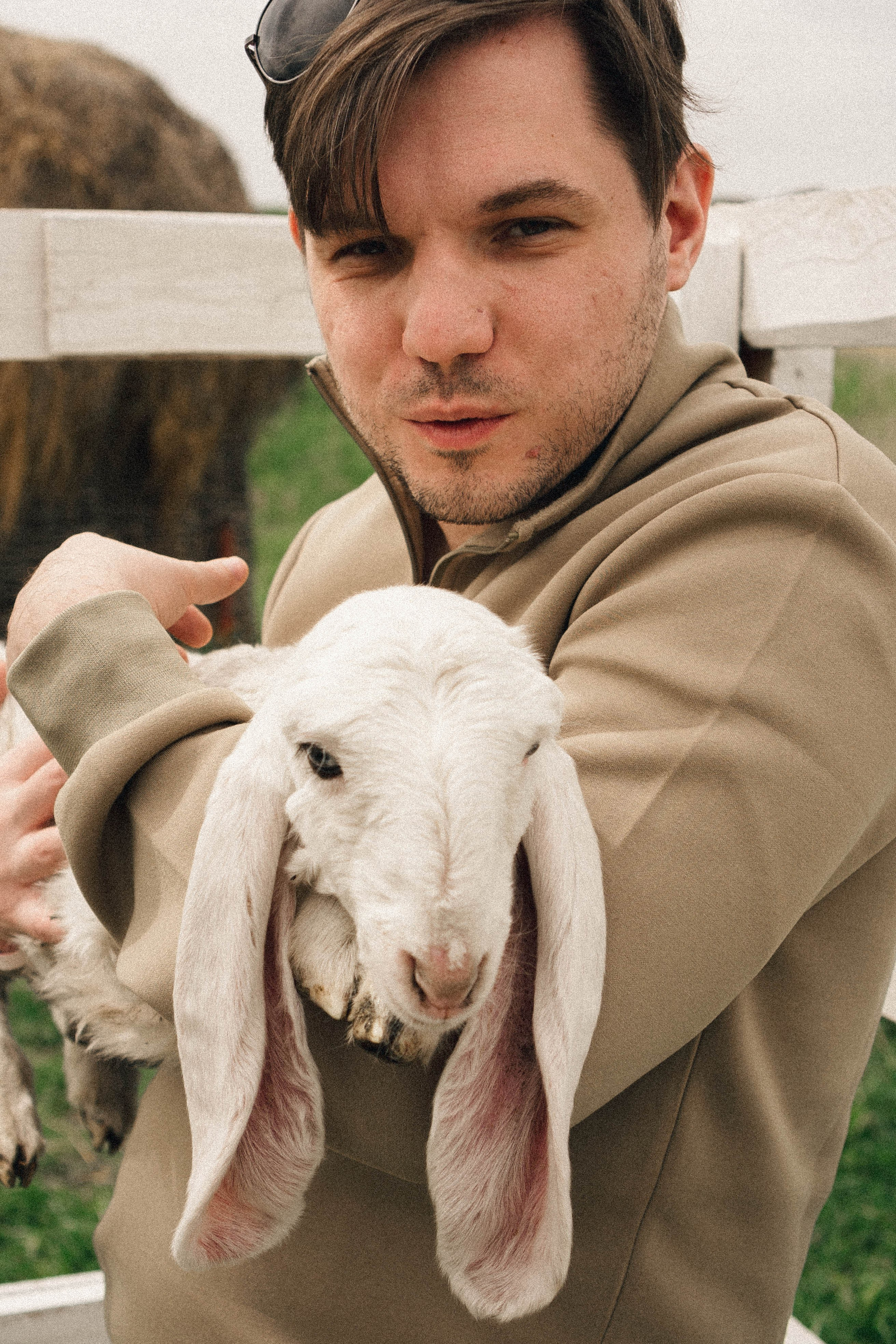 Ферма Альпак. Профессиональный фотограф, Санкт-Петербург — Виктория Богомолова