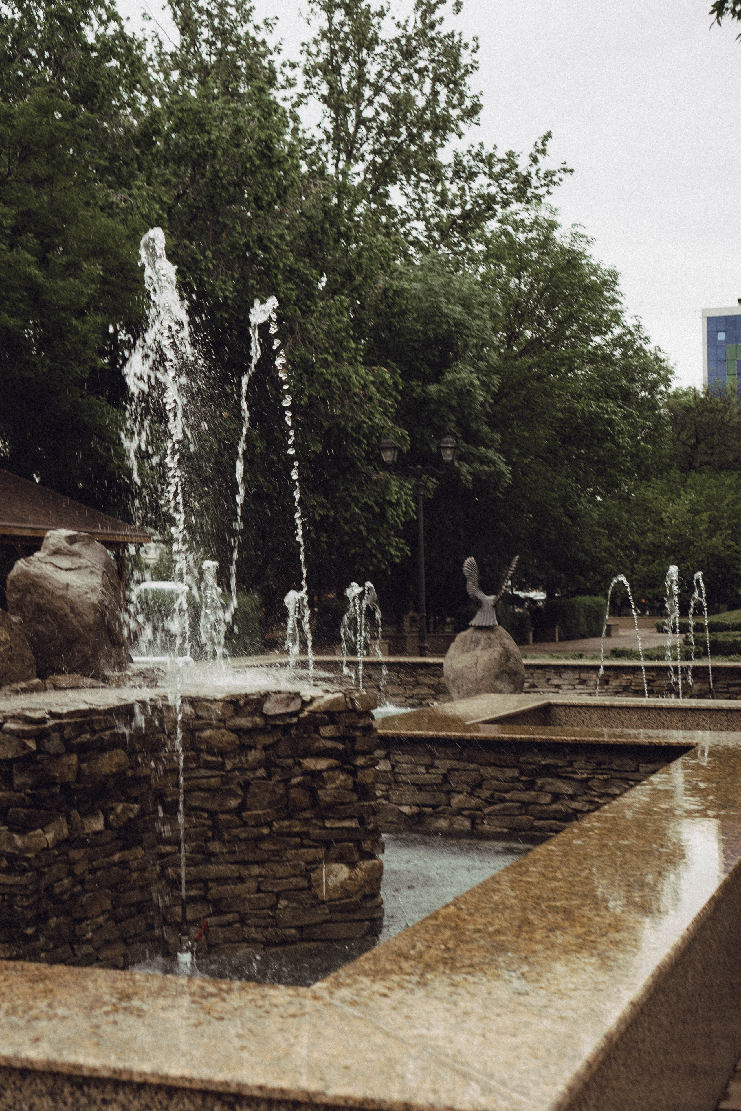 Кавказ. Профессиональный фотограф, Санкт-Петербург — Виктория Богомолова