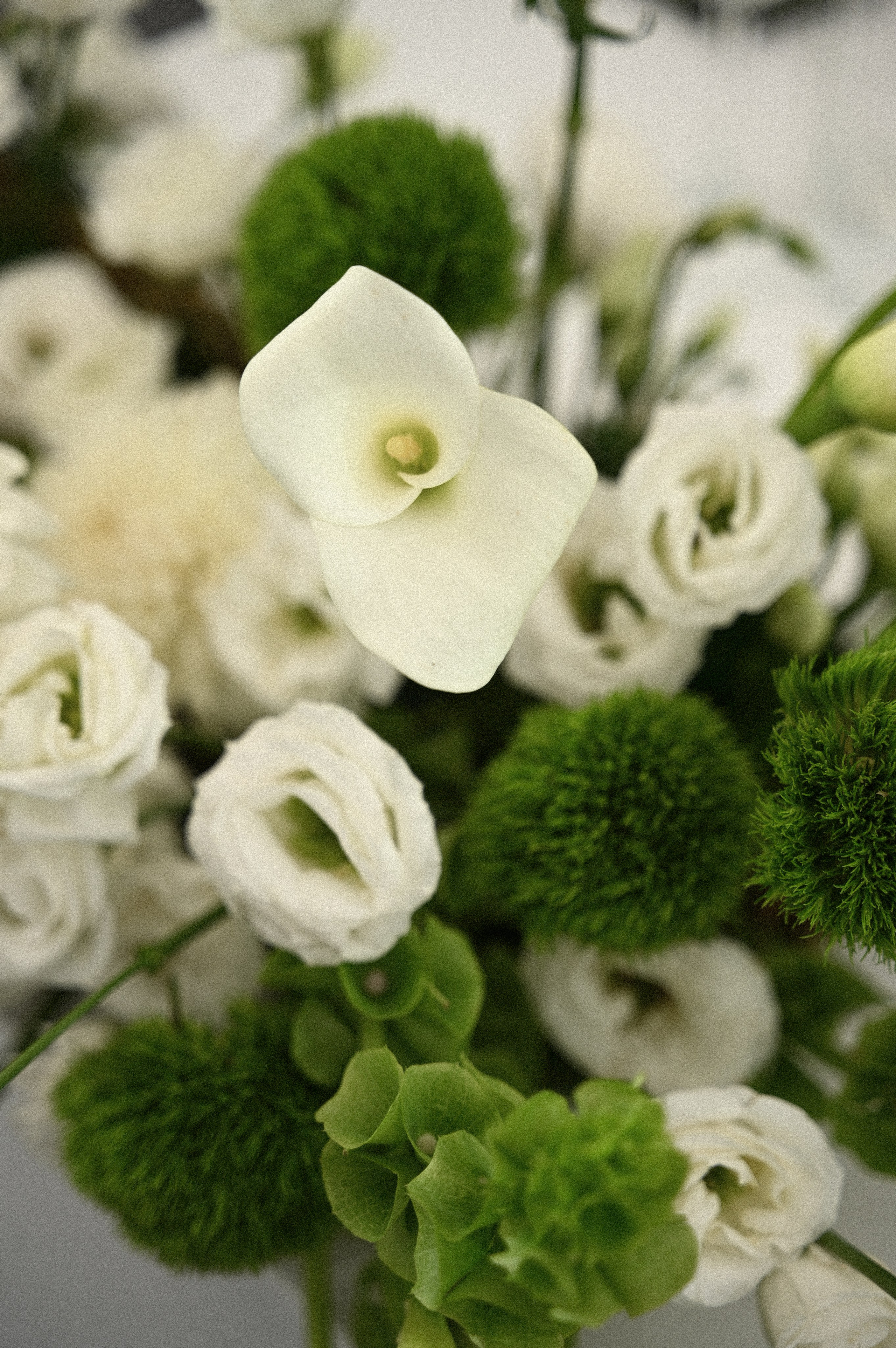 Ринат & Альбина. Свадебный и семейный фотограф в Уфе Александров Максим