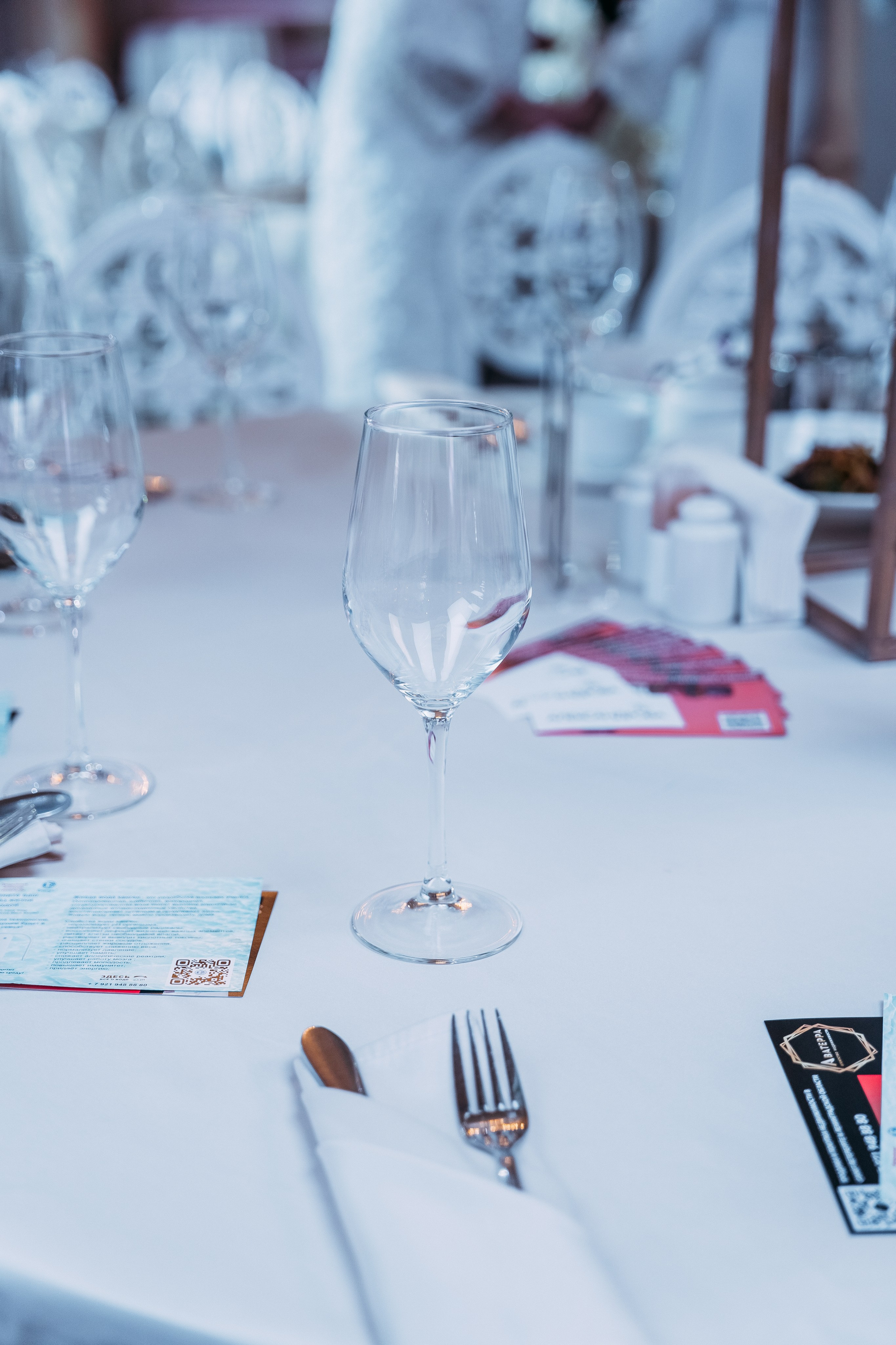 Открытие конкурса Мисс и Миссис бизнес Санкт-Петербург и ЛО 2024. Фотограф Санкт-Петербург/Гомель Виктория Петрова