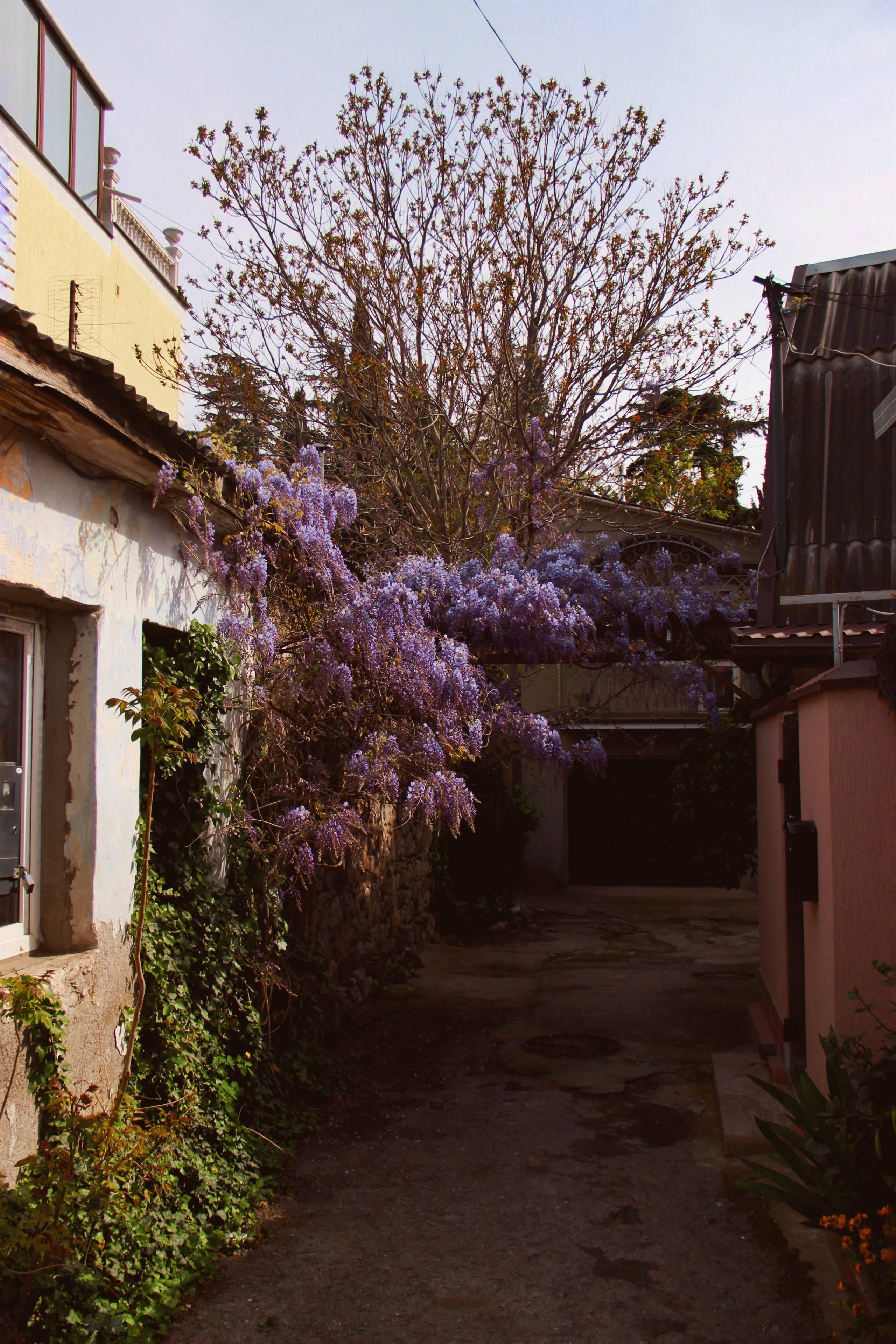 Крым. Фотограф и видеограф в Санкт-Петербурге