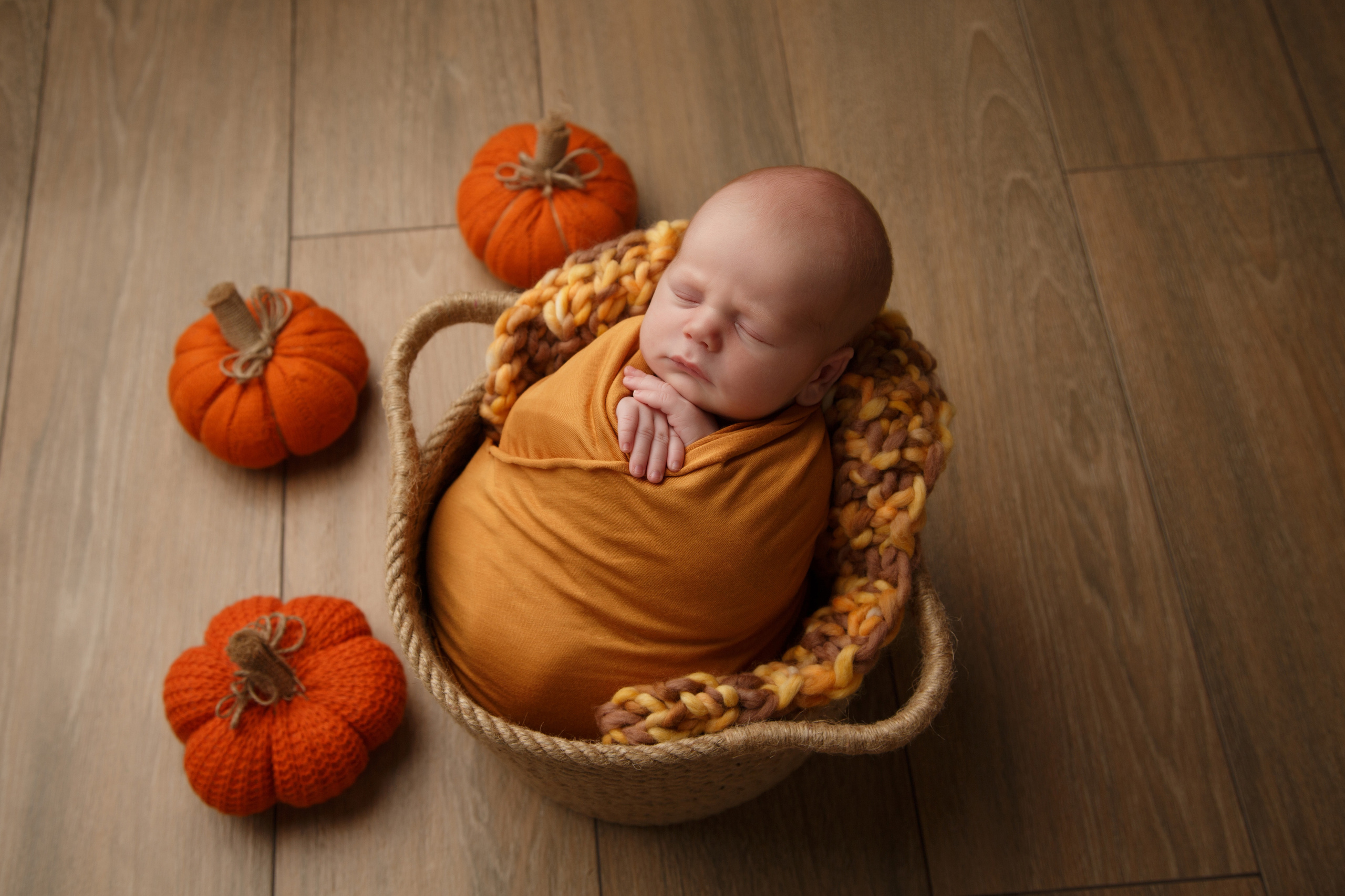 Захар, 16 дней. Фотограф новорожденных Тверь Диана Муляева
