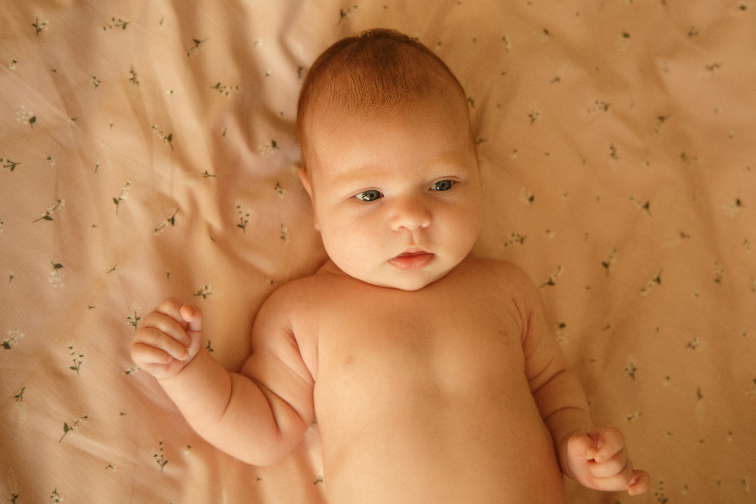 Таисия, 1 месяц. Фотограф новорожденных Тверь Диана Муляева