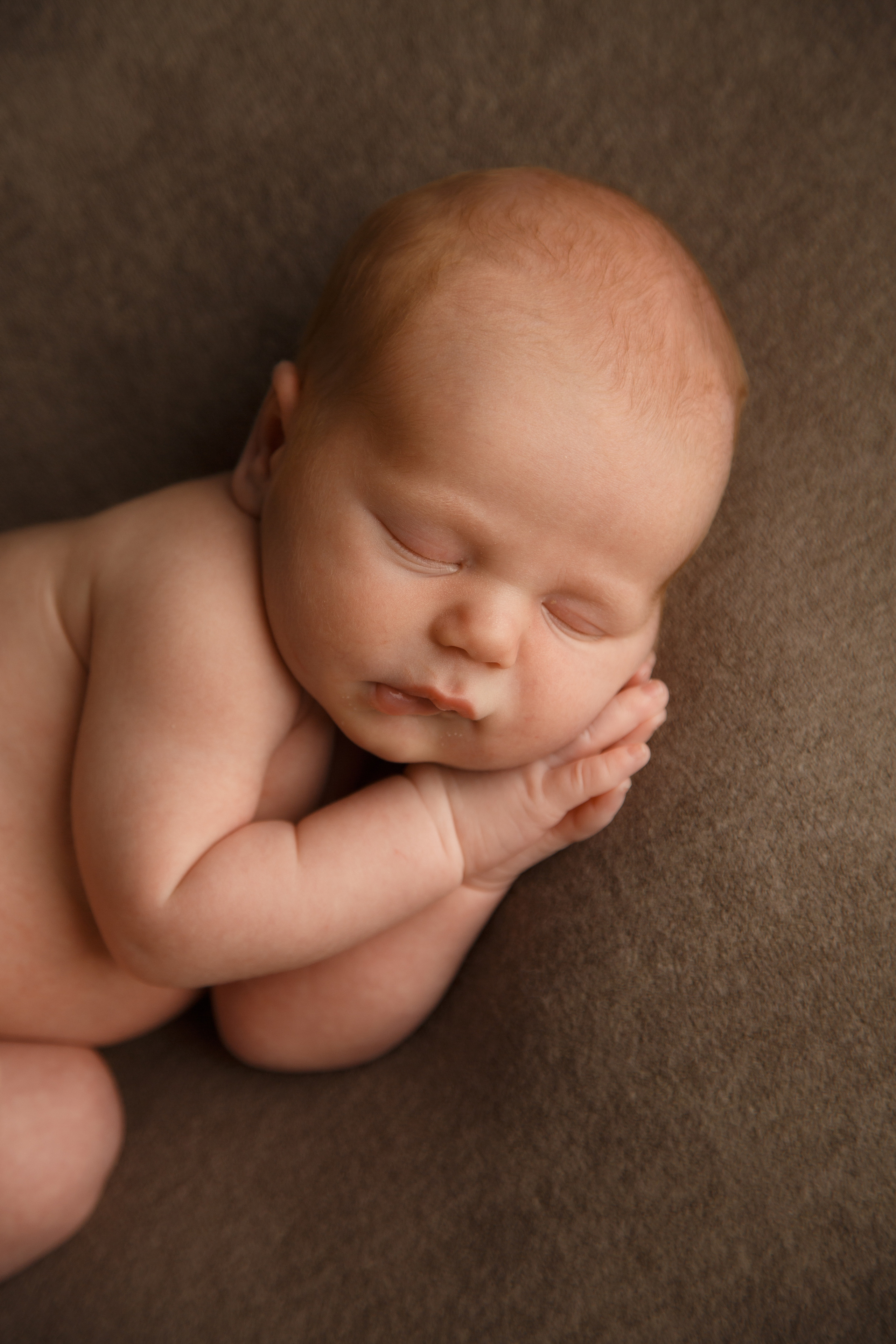 Захар, 16 дней. Фотограф новорожденных Тверь Диана Муляева