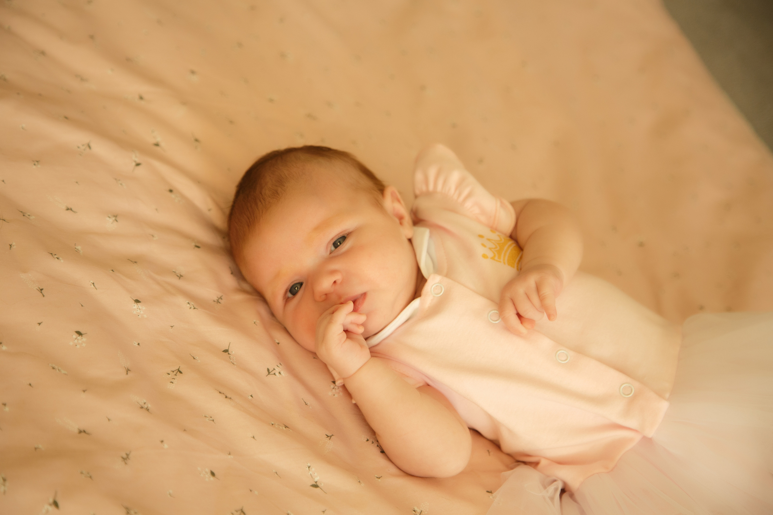 Таисия, 1 месяц. Фотограф новорожденных Тверь Диана Муляева