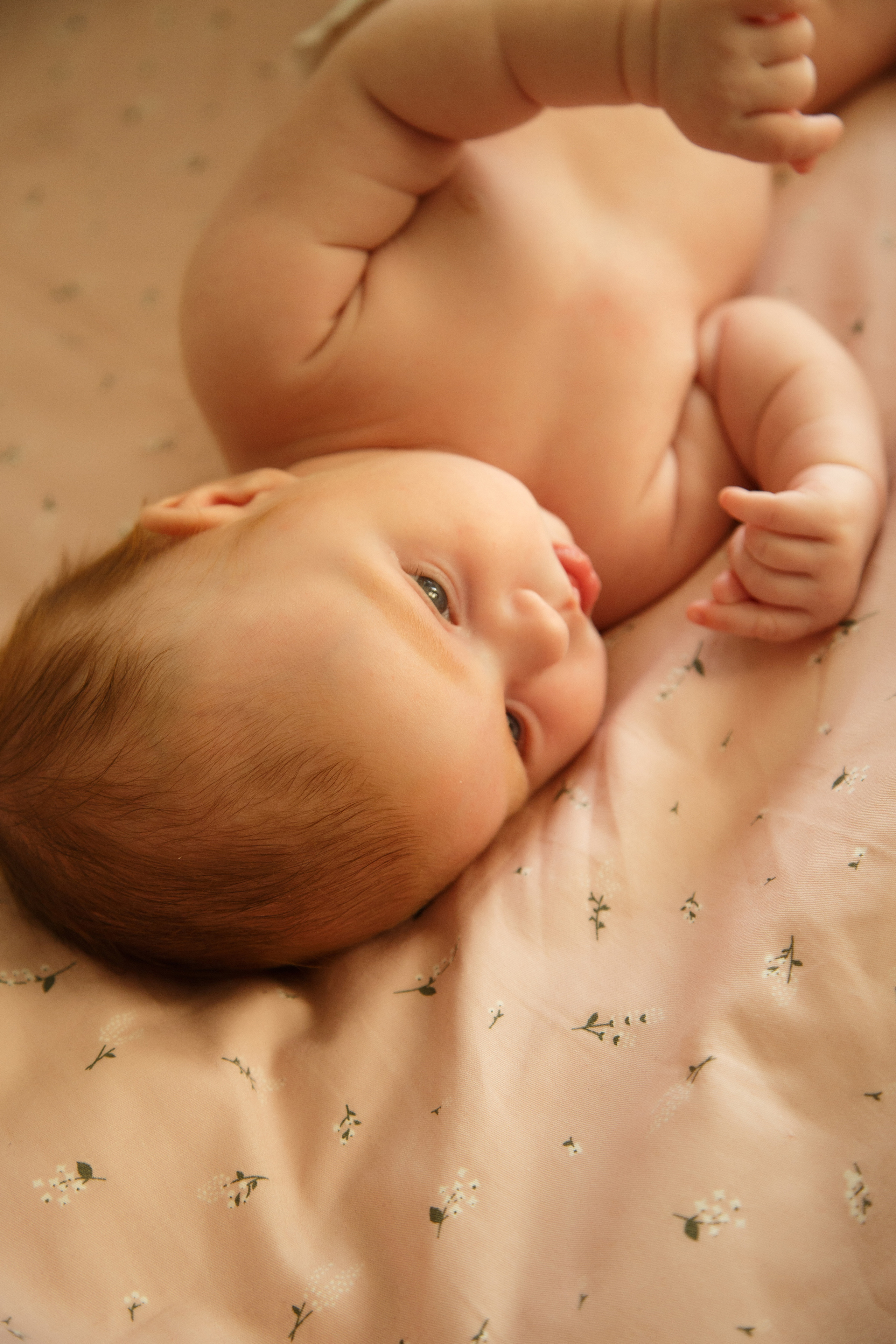 Таисия, 1 месяц. Фотограф новорожденных Тверь Диана Муляева