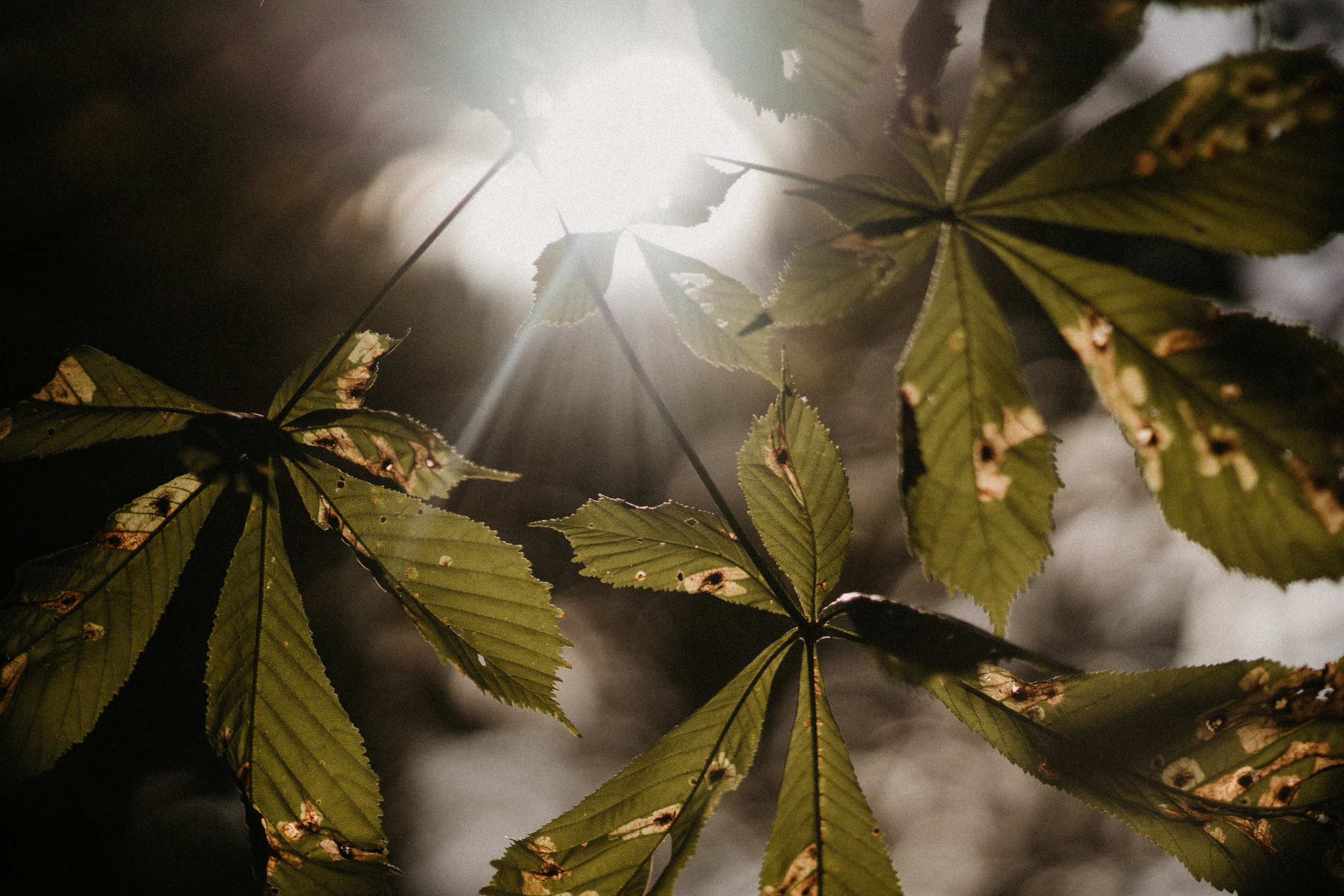 МЫ ЖЕ НА ТЫ. Миша Снимет | твой фотограф