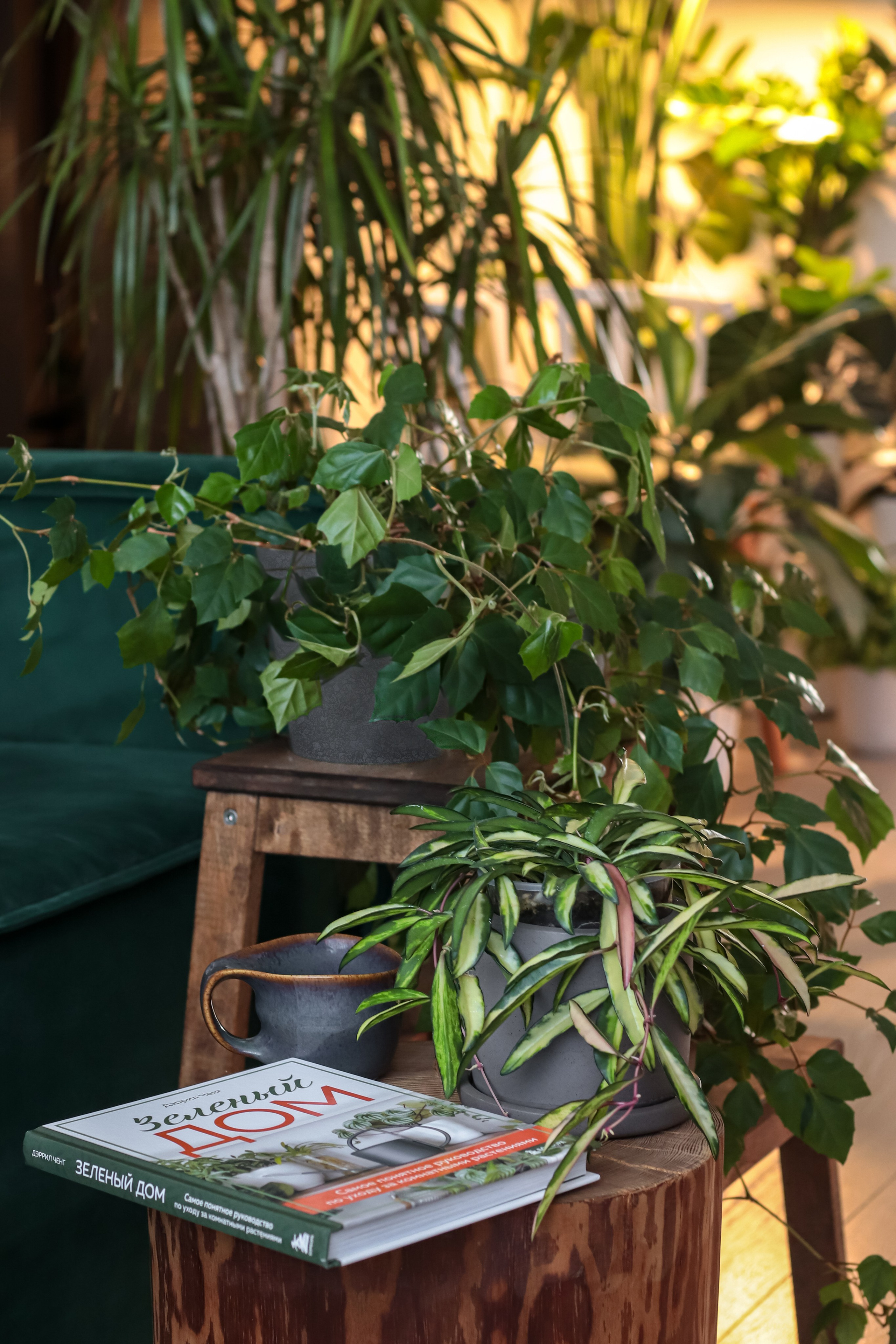 Предметная съёмка. Фотограф Химки Анна Татарских