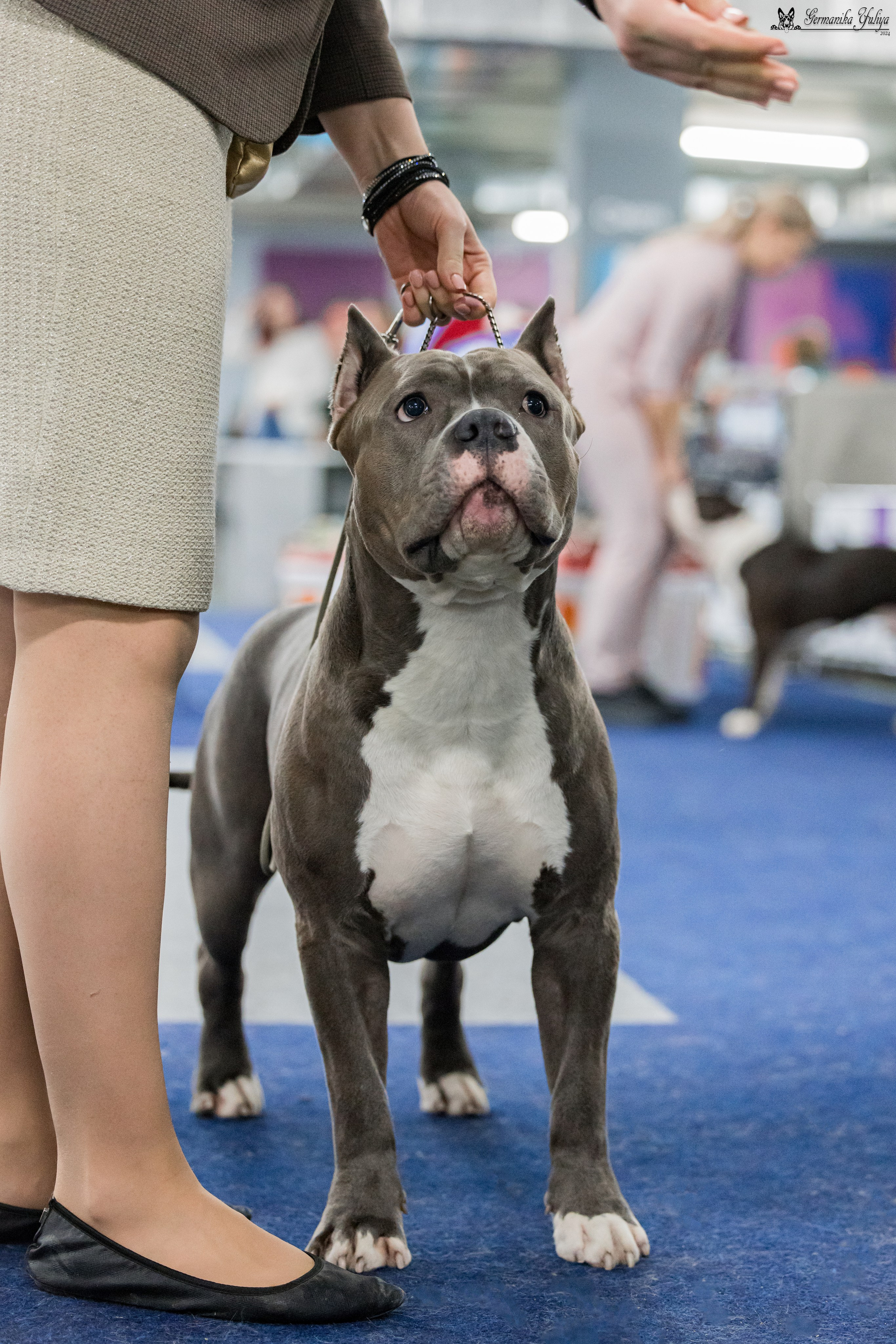 Сфера 28.01. и 4.02.2024. Фотограф-анималист Юлия Германика