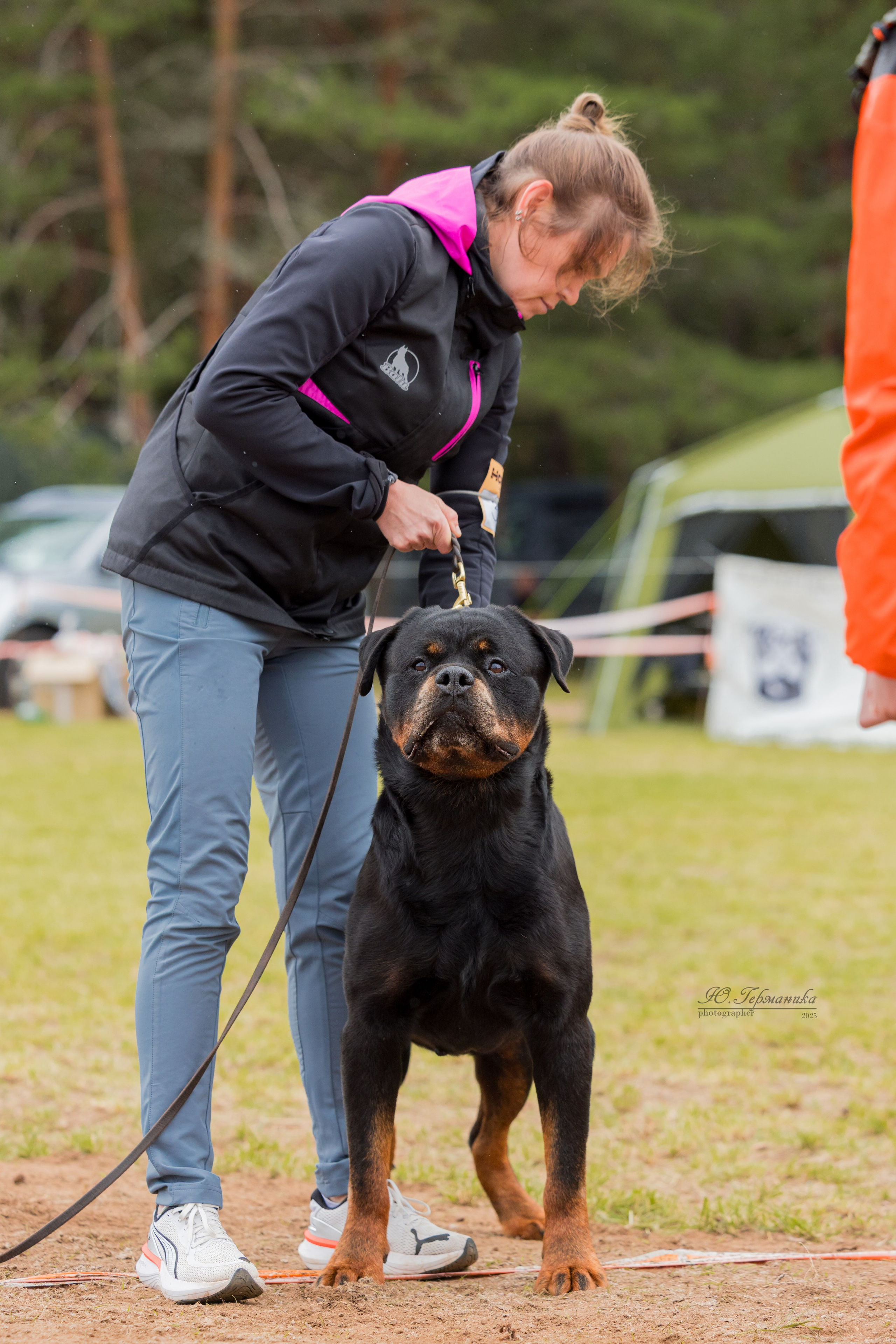 Тверь ротвейлеры 5-6.07.2025. Фотограф-анималист Юлия Германика