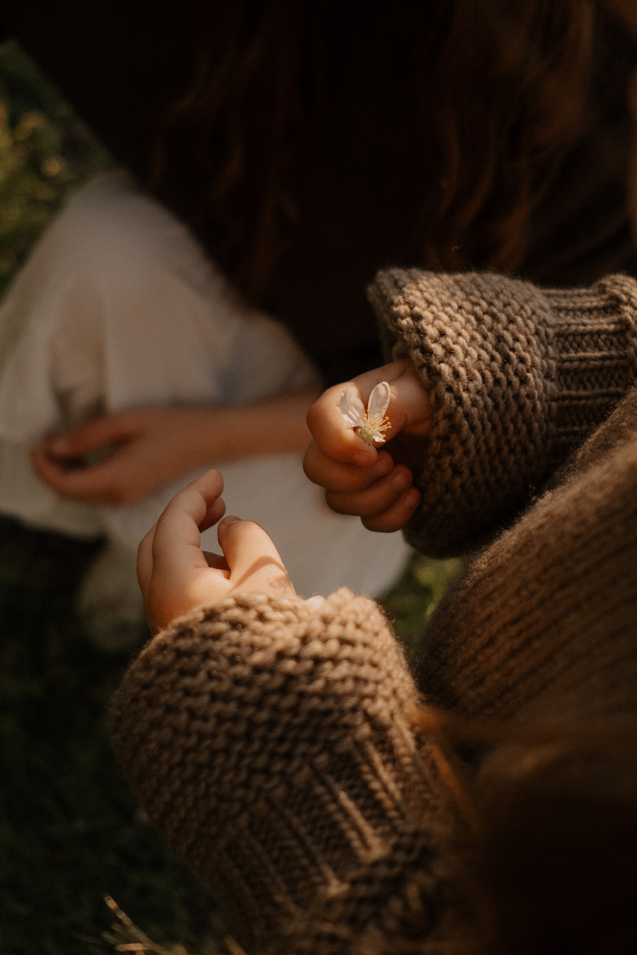 Семейные фотосессии в Сочи, Сириус и на Красной поляне. Семейный, свадебный фотограф Сочи, Адлер, Красная поляна