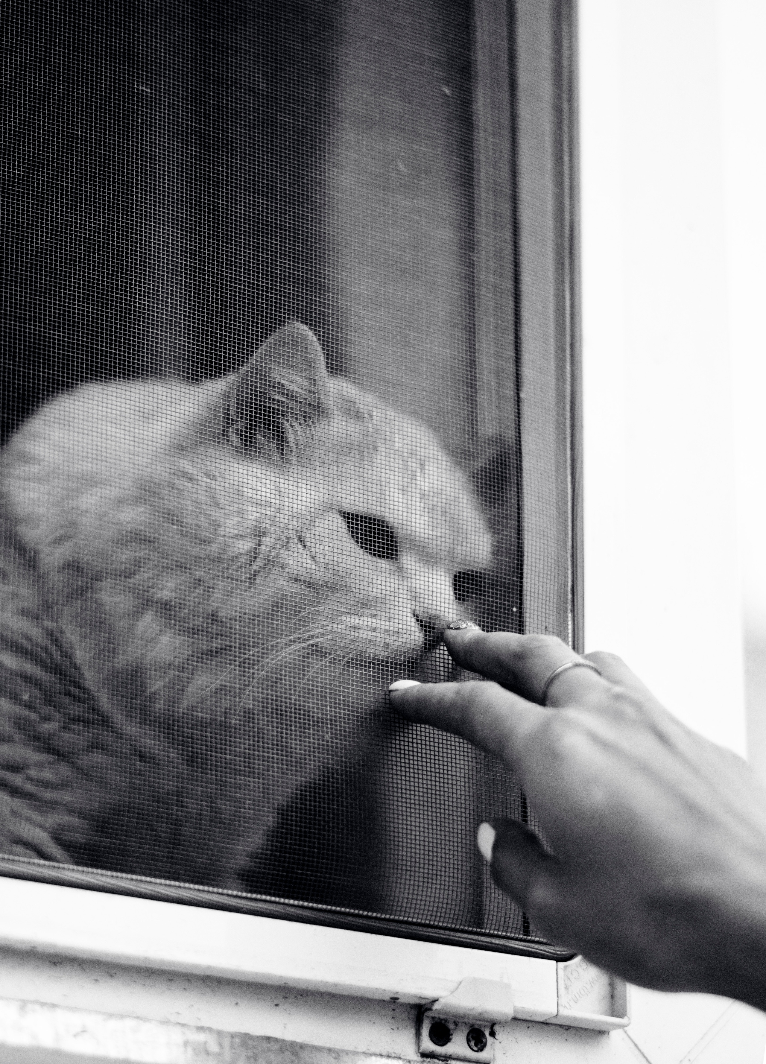 Стрит фотография. Ёлкин Александр Фотограф