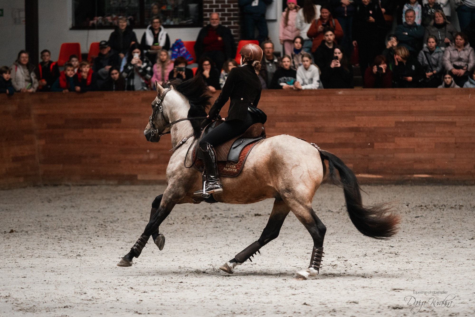 8-я международная выставка Конная Россия. Конный фотограф Куракина Дарья • Фотосессии с лошадьми
