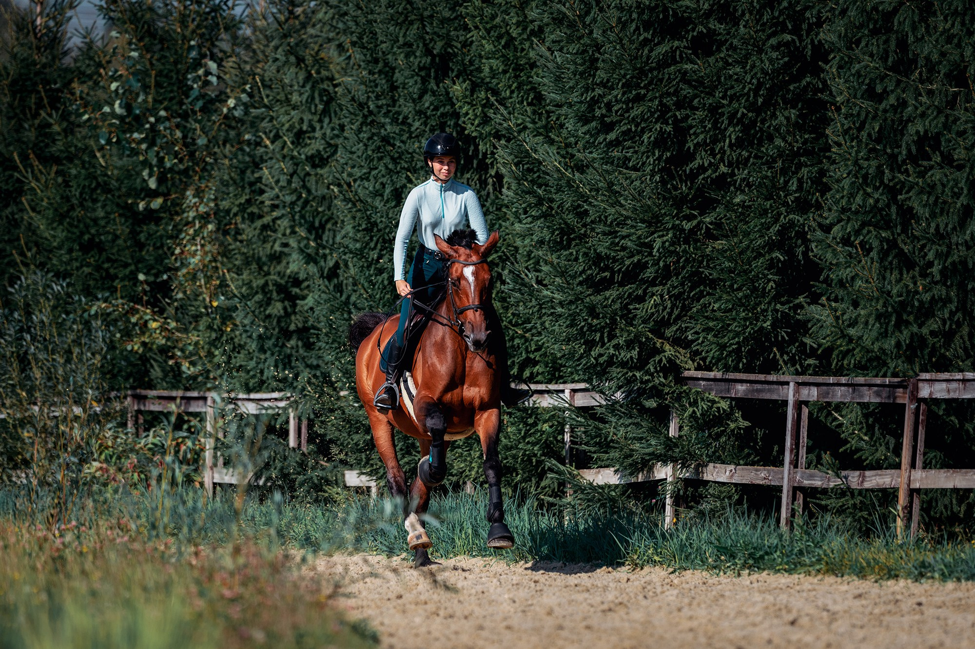 Тренировки. Конный фотограф Alesya Safe