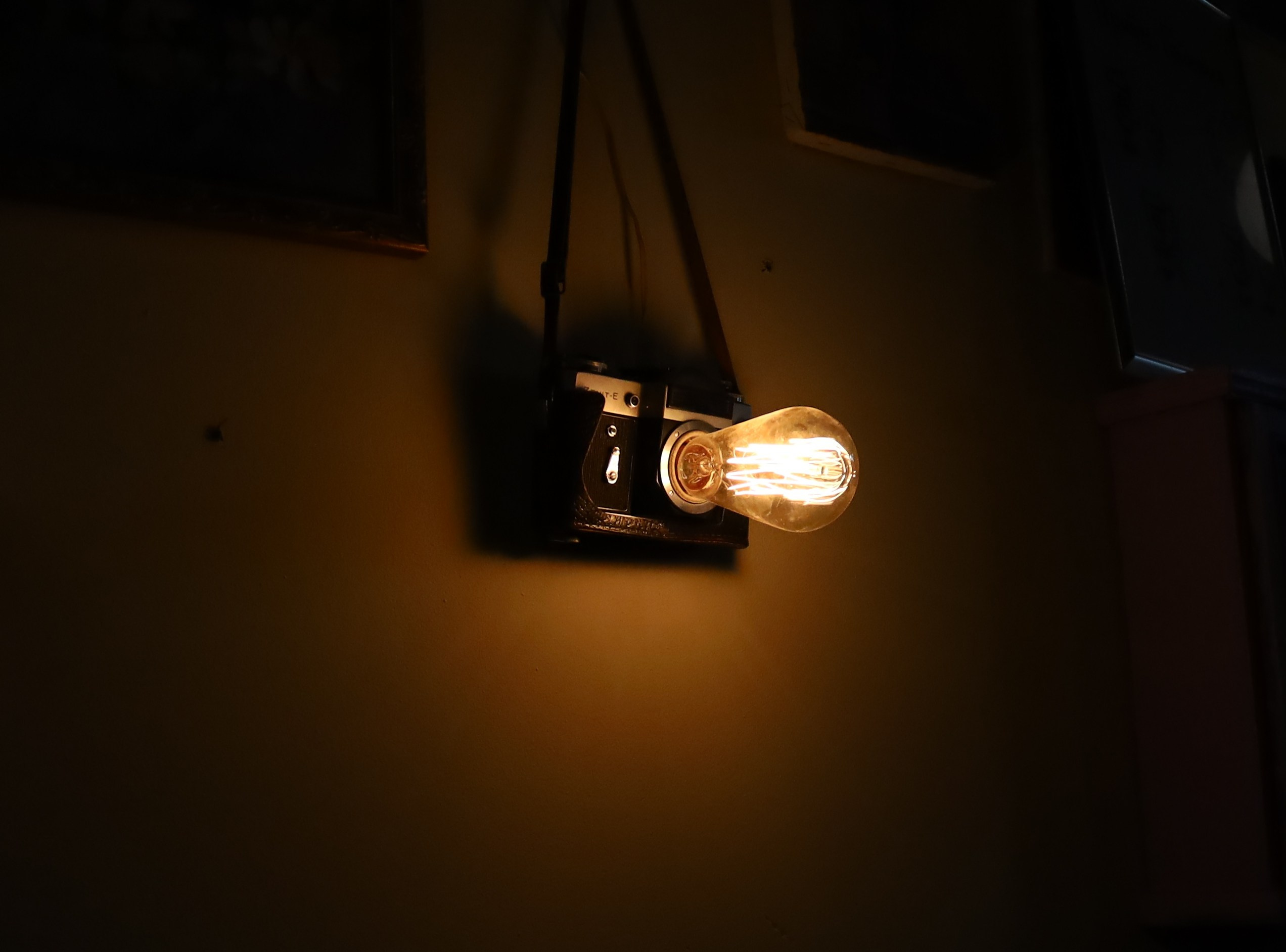 Портфолио. Tenny-Tiny Ph