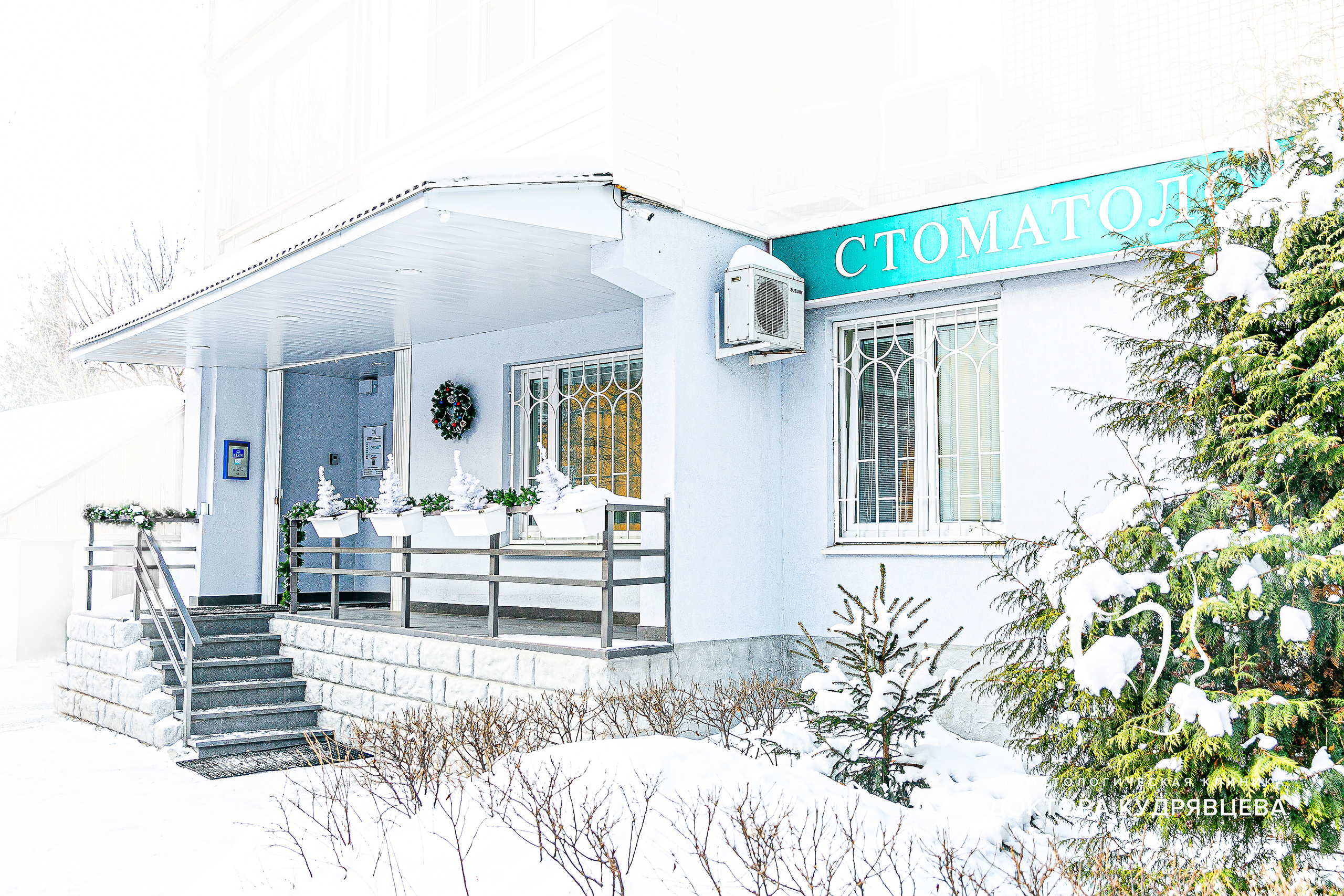 Стоматология Доктора Кудрявцева. Свадебный фотограф | Москва