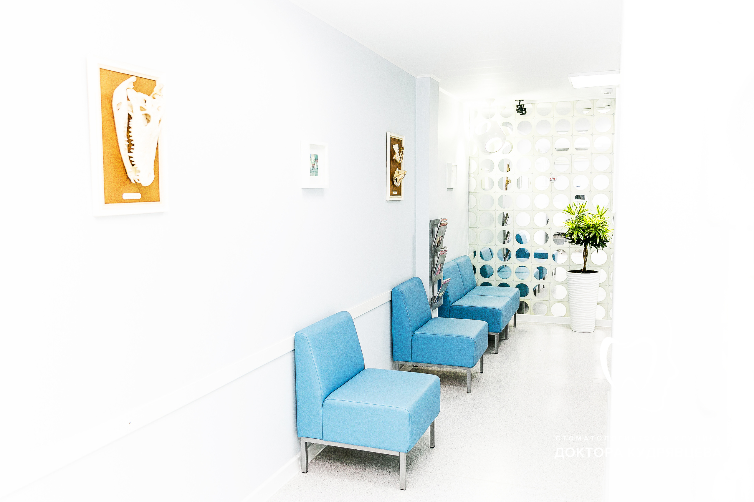 Стоматология Доктора Кудрявцева. Свадебный фотограф | Москва