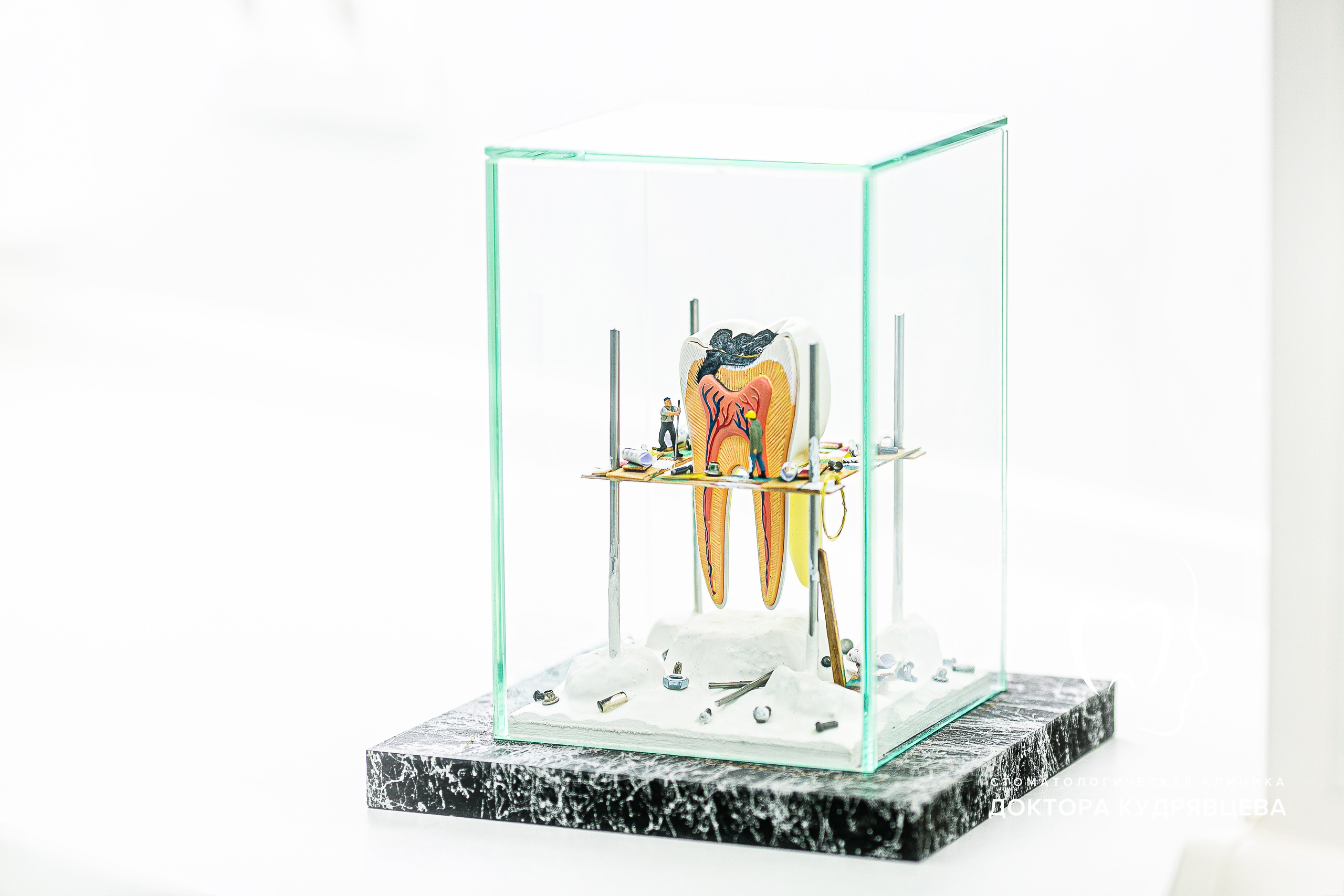 Стоматология Доктора Кудрявцева. Свадебный фотограф | Москва