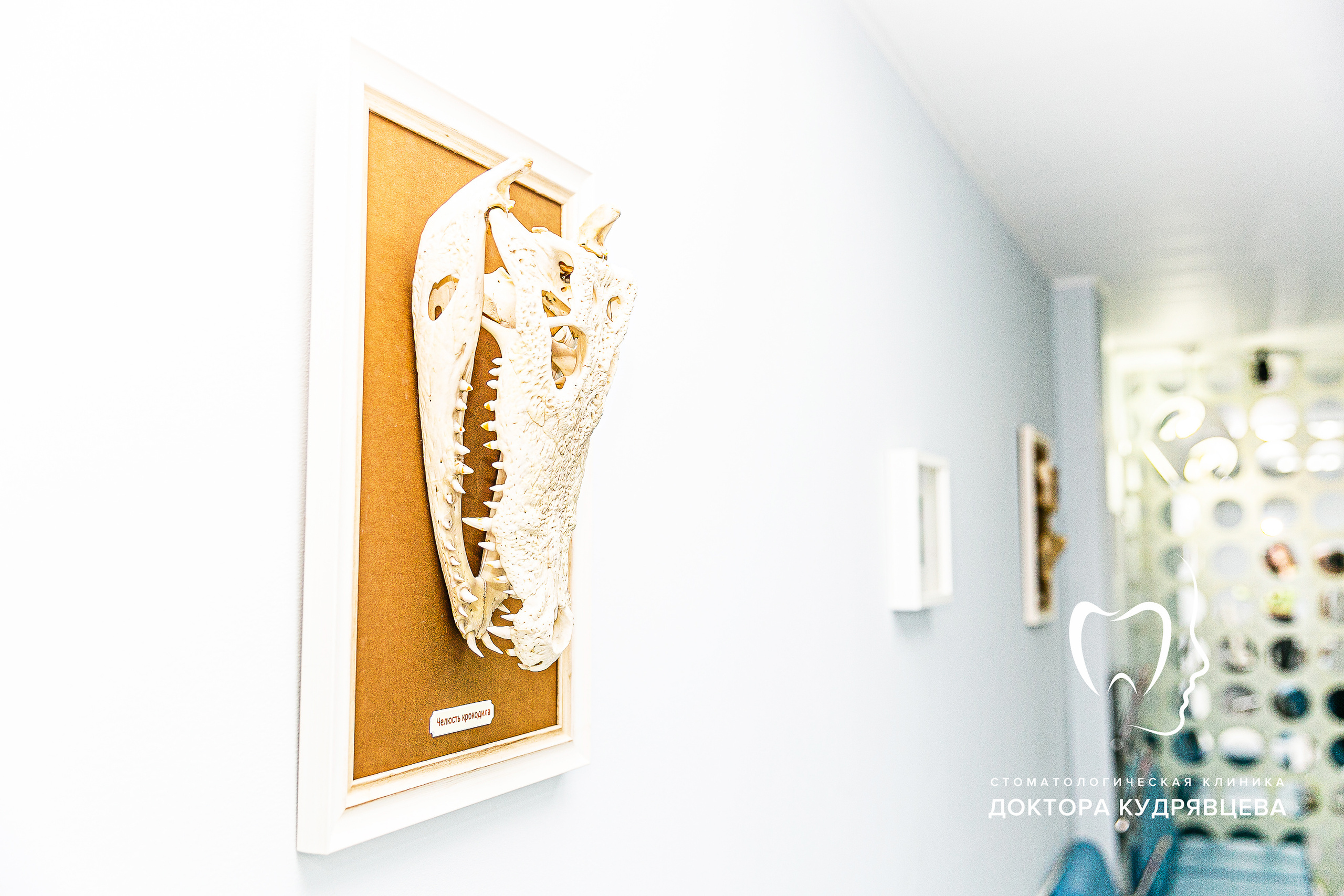 Стоматология Доктора Кудрявцева. Свадебный фотограф | Москва