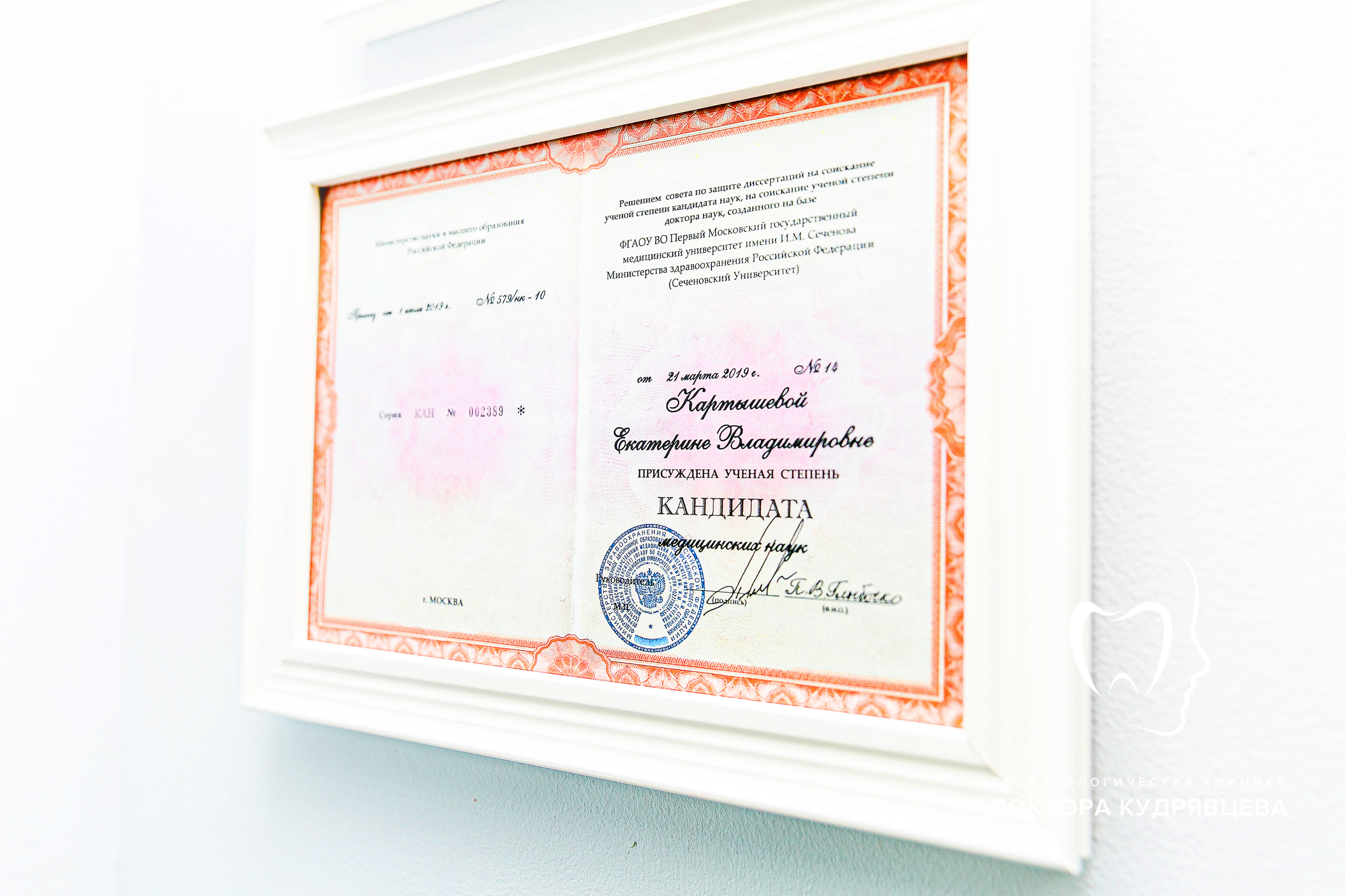 Стоматология Доктора Кудрявцева. Свадебный фотограф | Москва