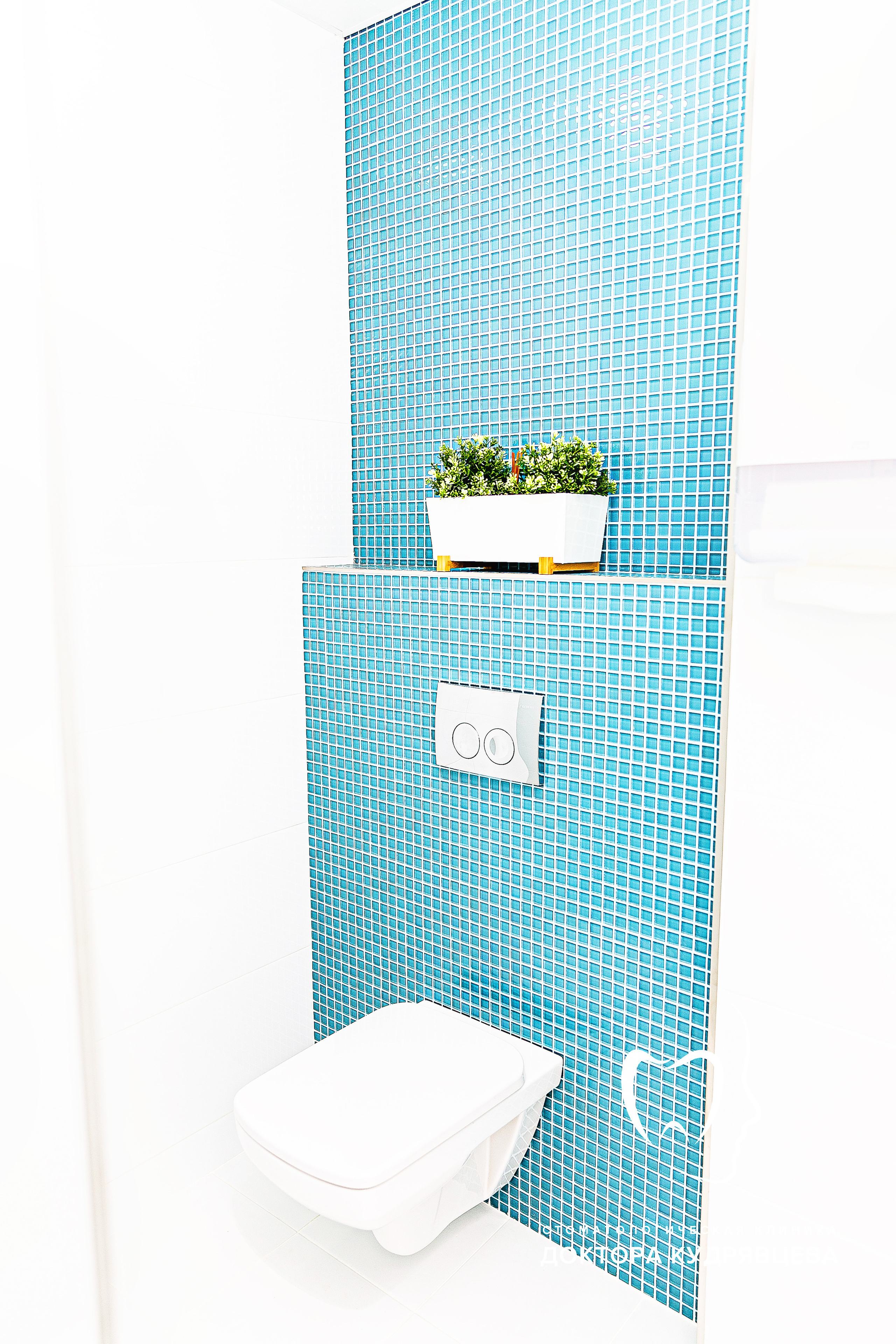 Стоматология Доктора Кудрявцева. Свадебный фотограф | Москва