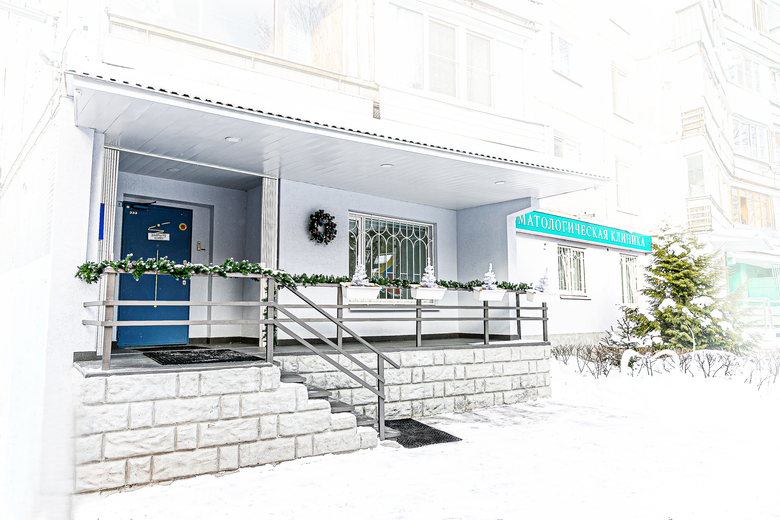 Стоматология Доктора Кудрявцева. Свадебный фотограф | Москва