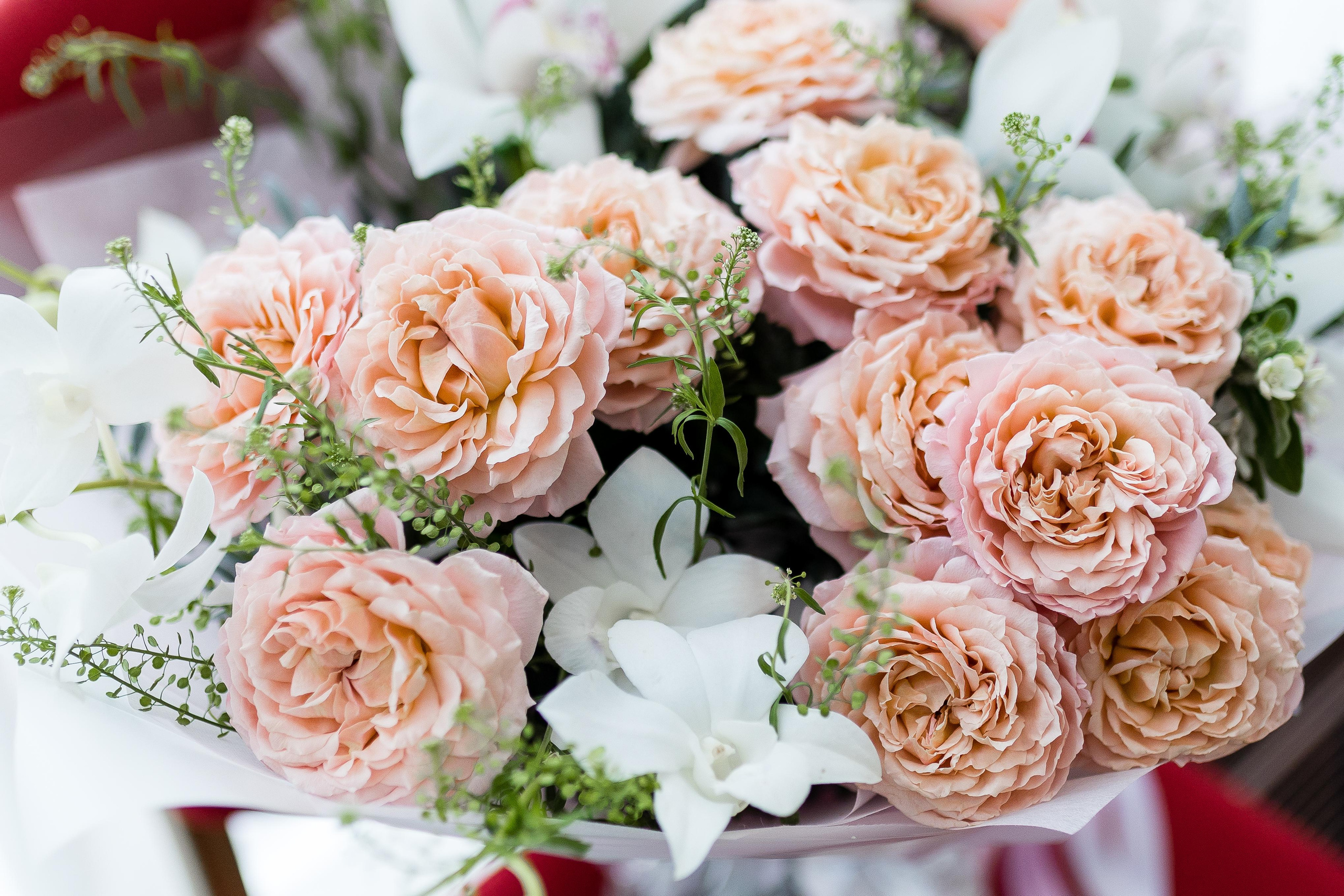 IYNO Корпоратив. Свадебный фотограф | Москва