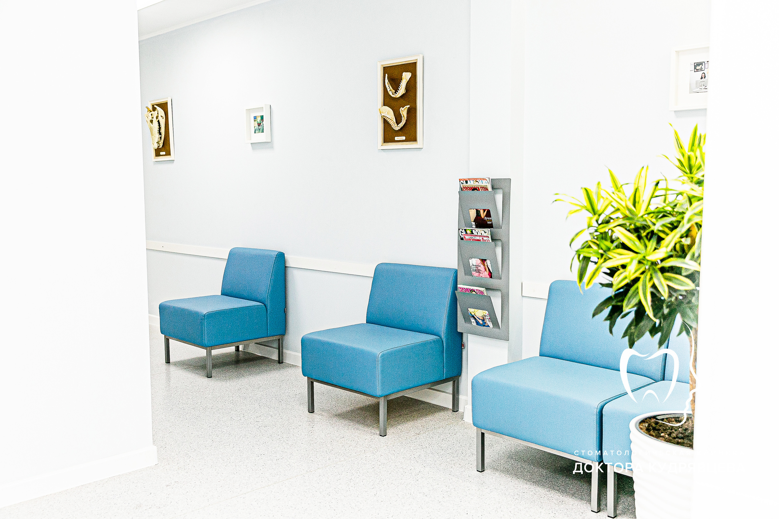 Стоматология Доктора Кудрявцева. Свадебный фотограф | Москва