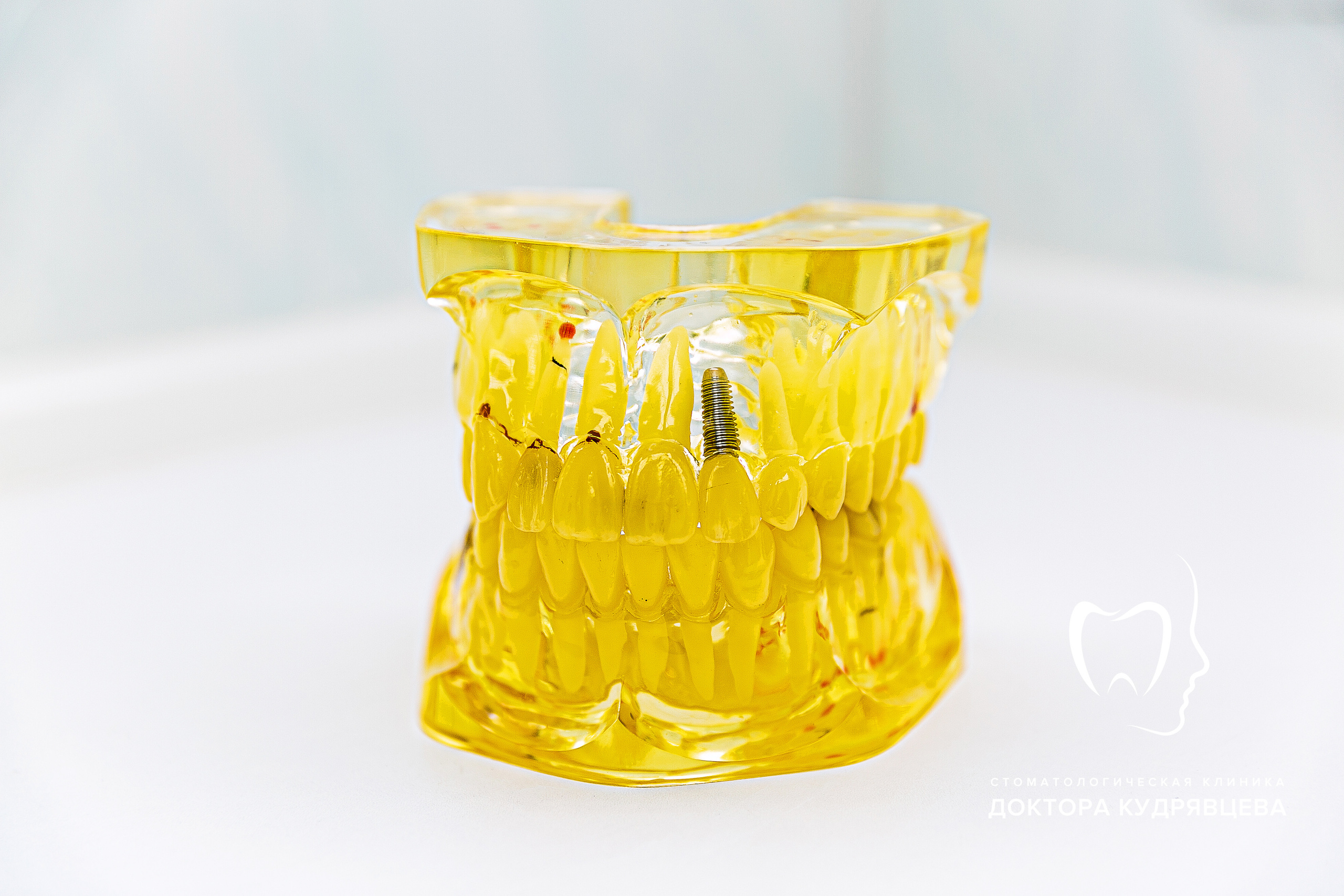 Стоматология Доктора Кудрявцева. Свадебный фотограф | Москва