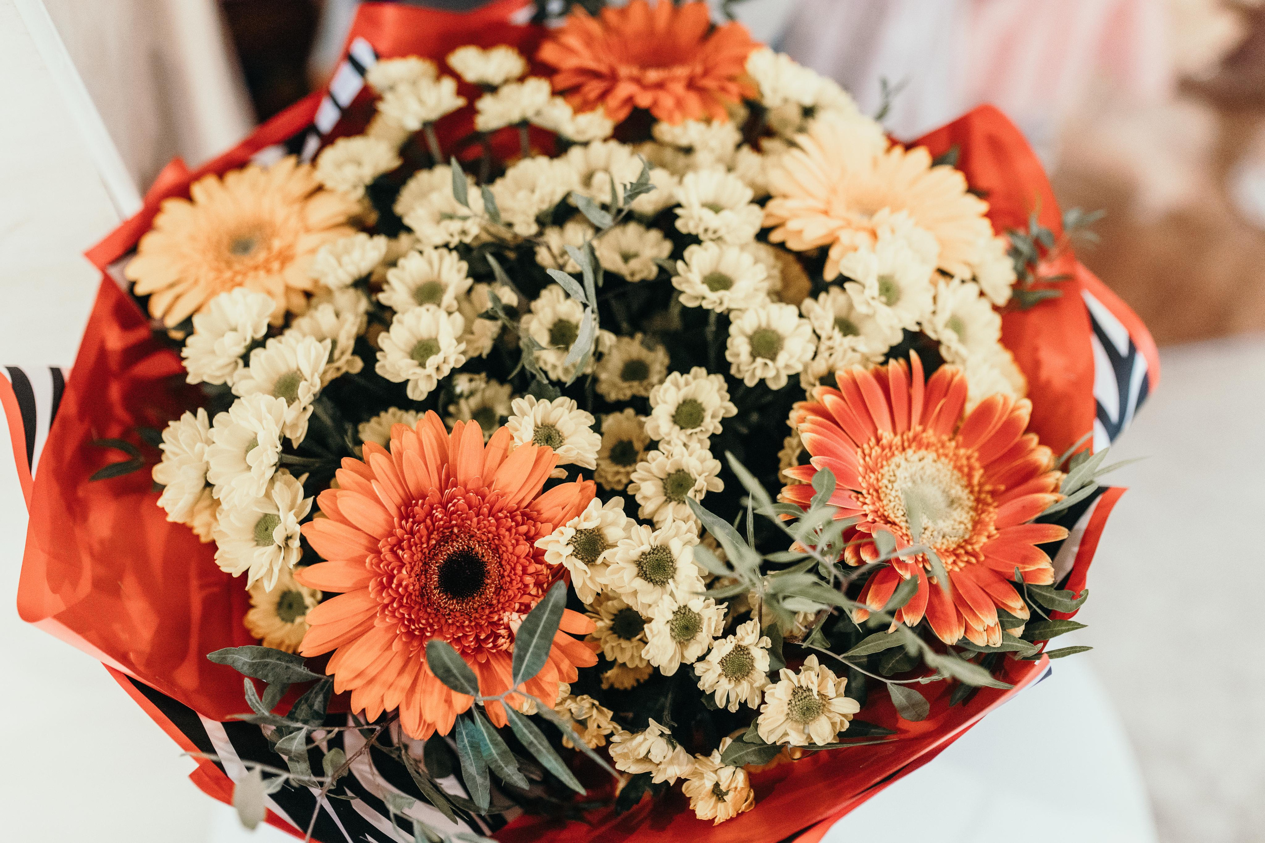 Анечка, Little Kids Play Cafe. Свадебный фотограф | Москва