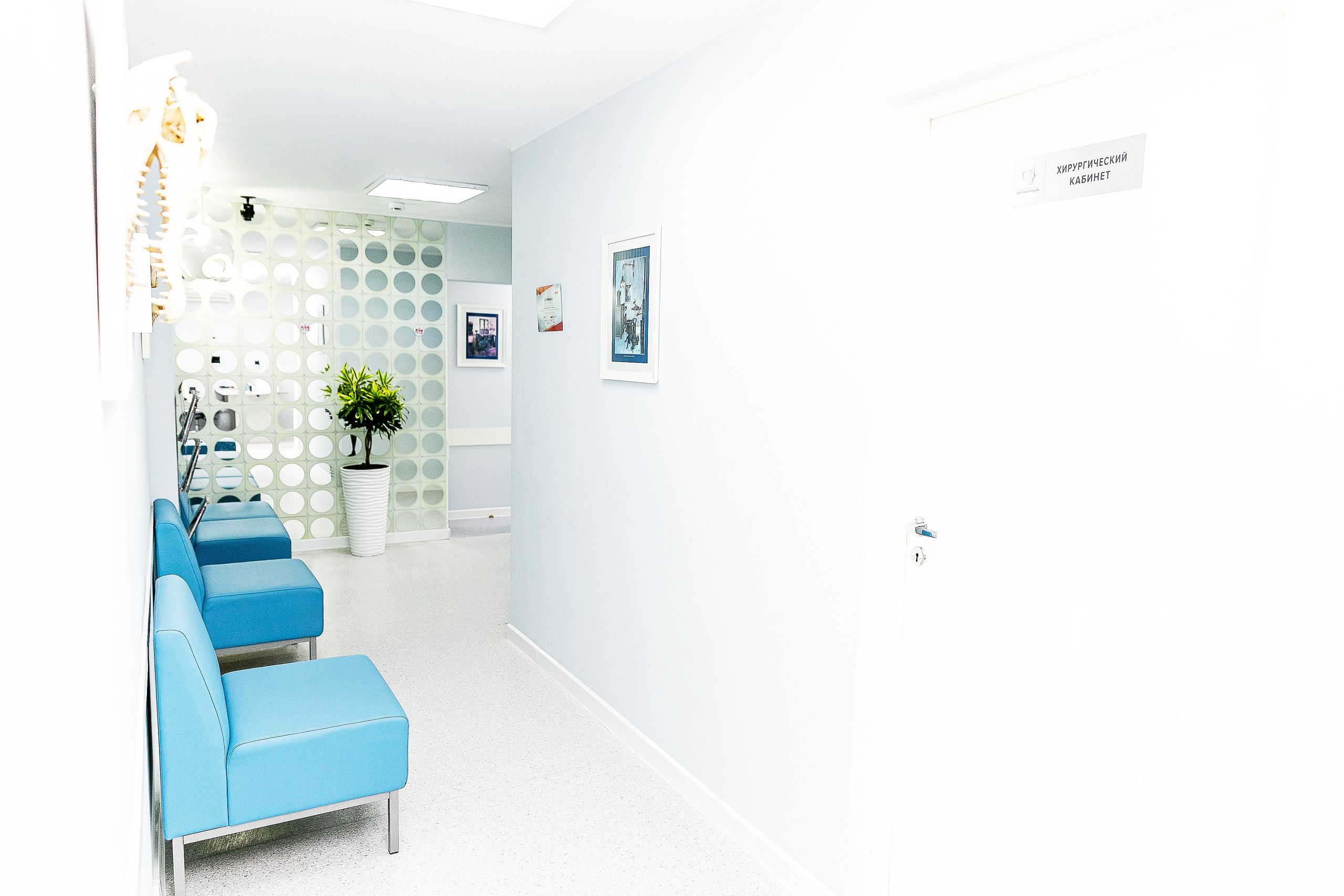 Стоматология Доктора Кудрявцева. Свадебный фотограф | Москва