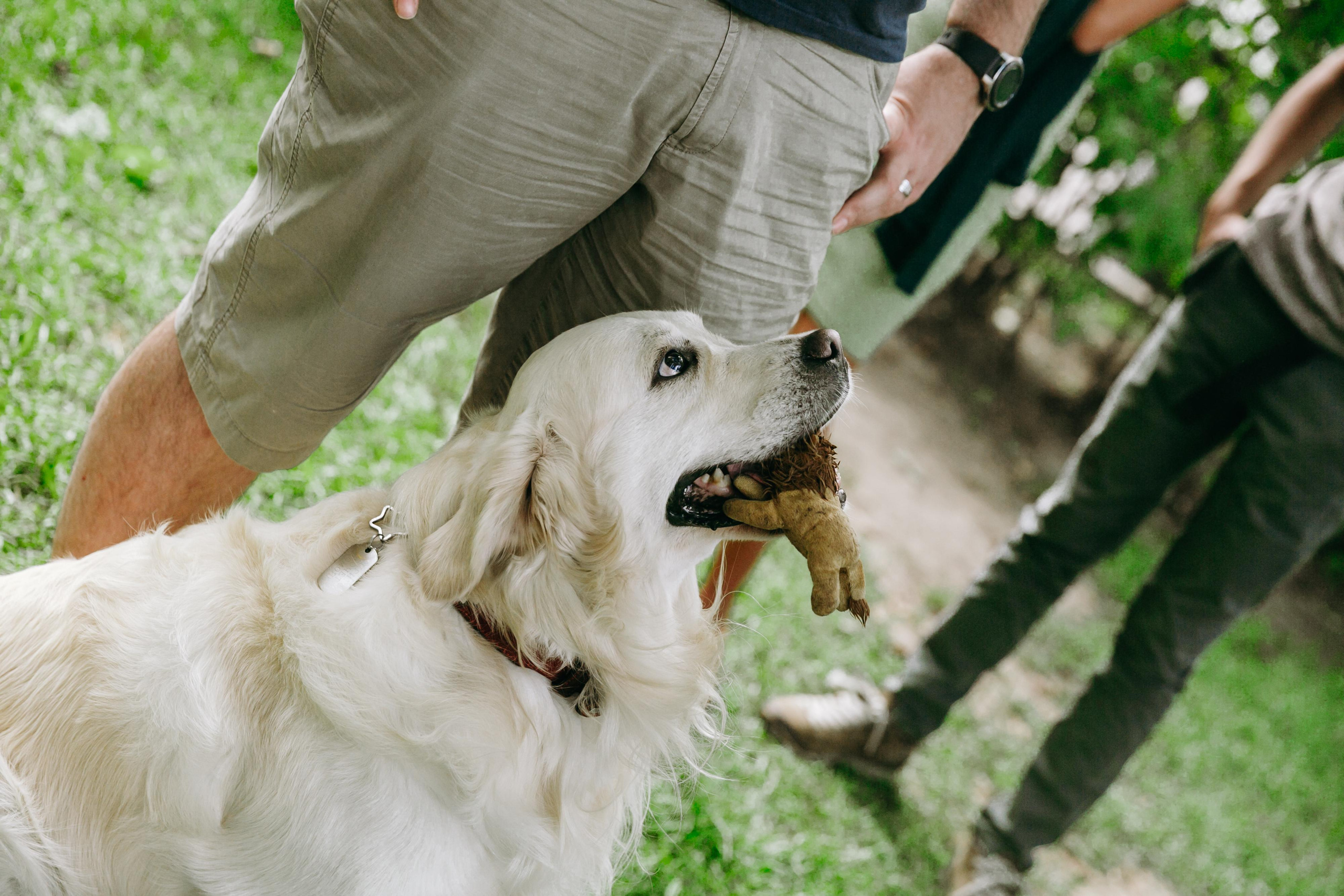 Insolar Team, Корпоратив. Свадебный фотограф | Москва