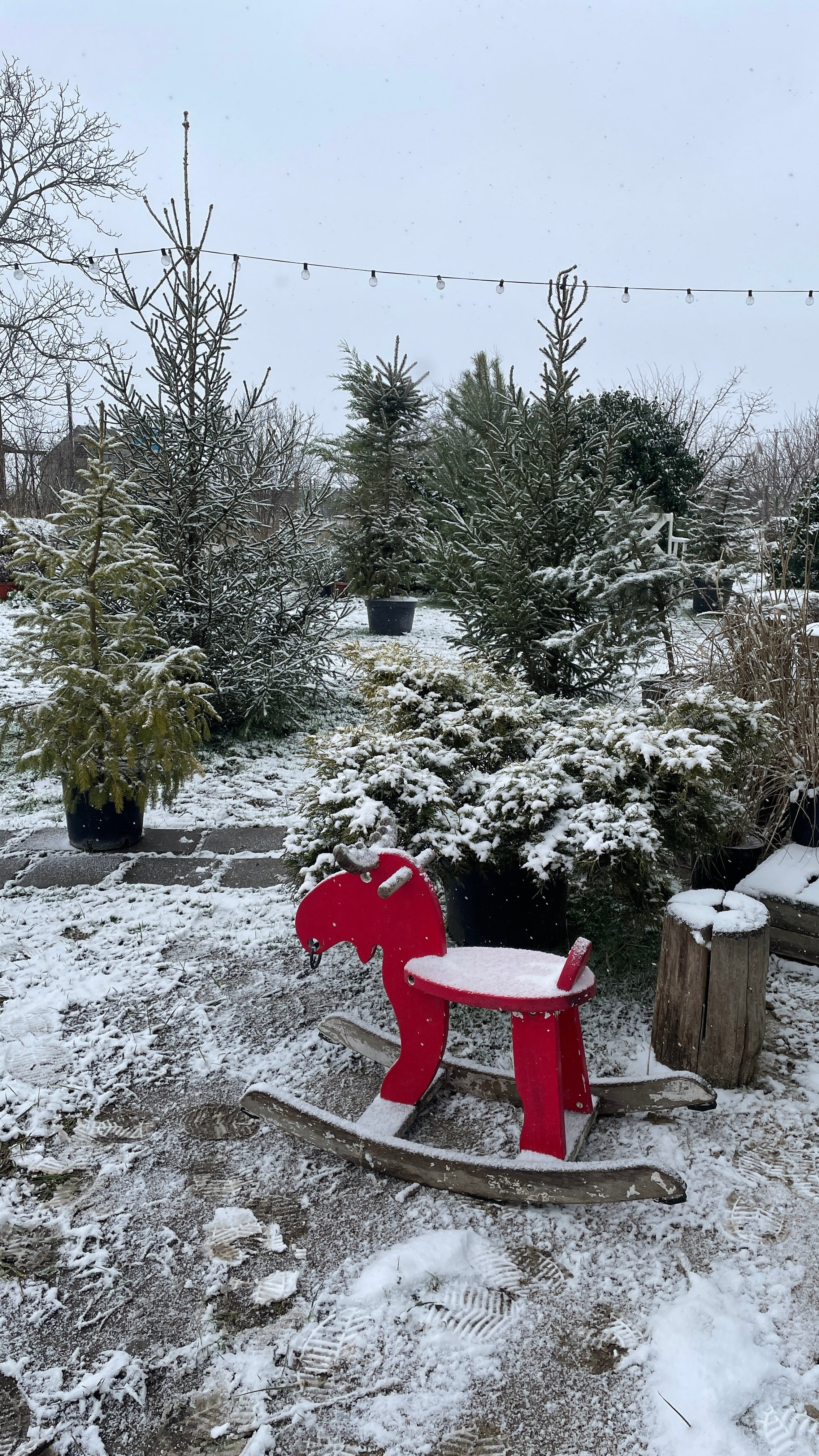 Зима. Фотостудия Натальи Забродской