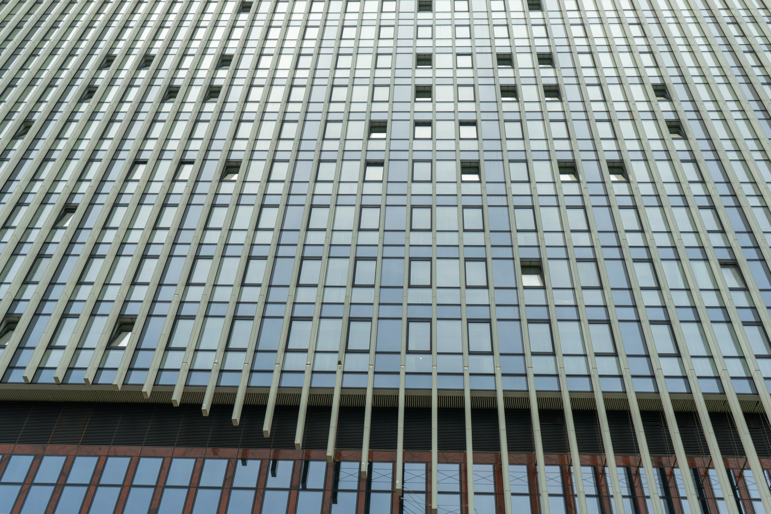 Виды парка Хуамин Москва. Авторские фотографии Чугунова Николая