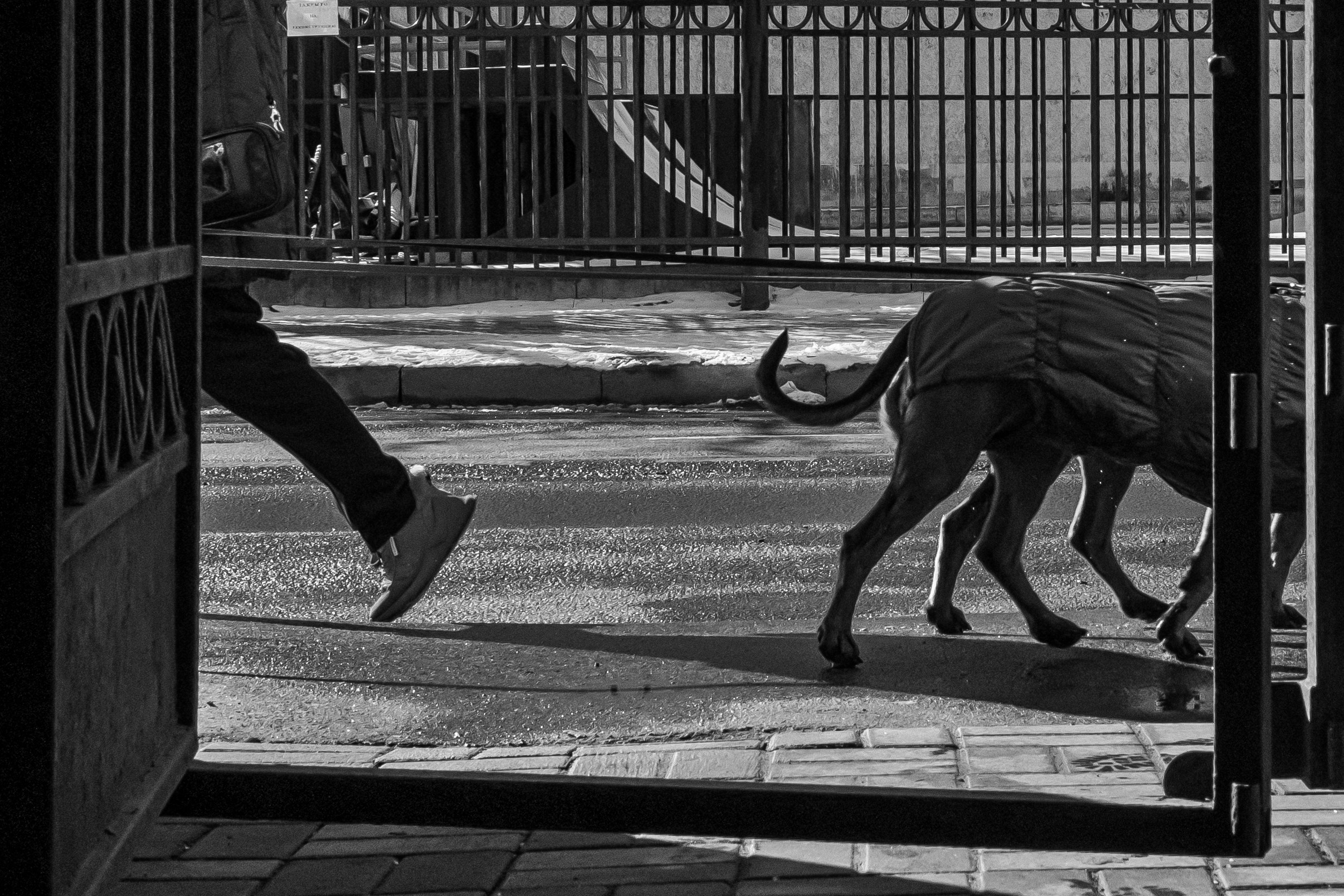 Dimitri Bakhtadze, street photos. Dimitri Bakhtadze photographer