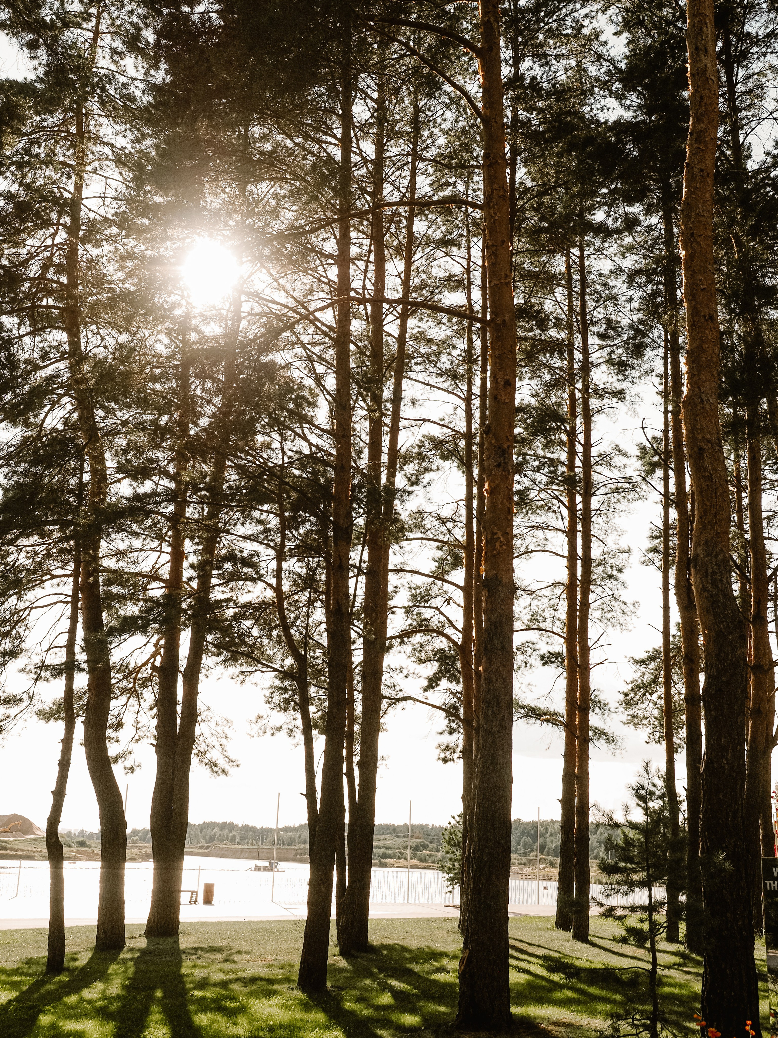 Инна и Алексей. Фотограф Рязань. Семейный Свадебный фотограф