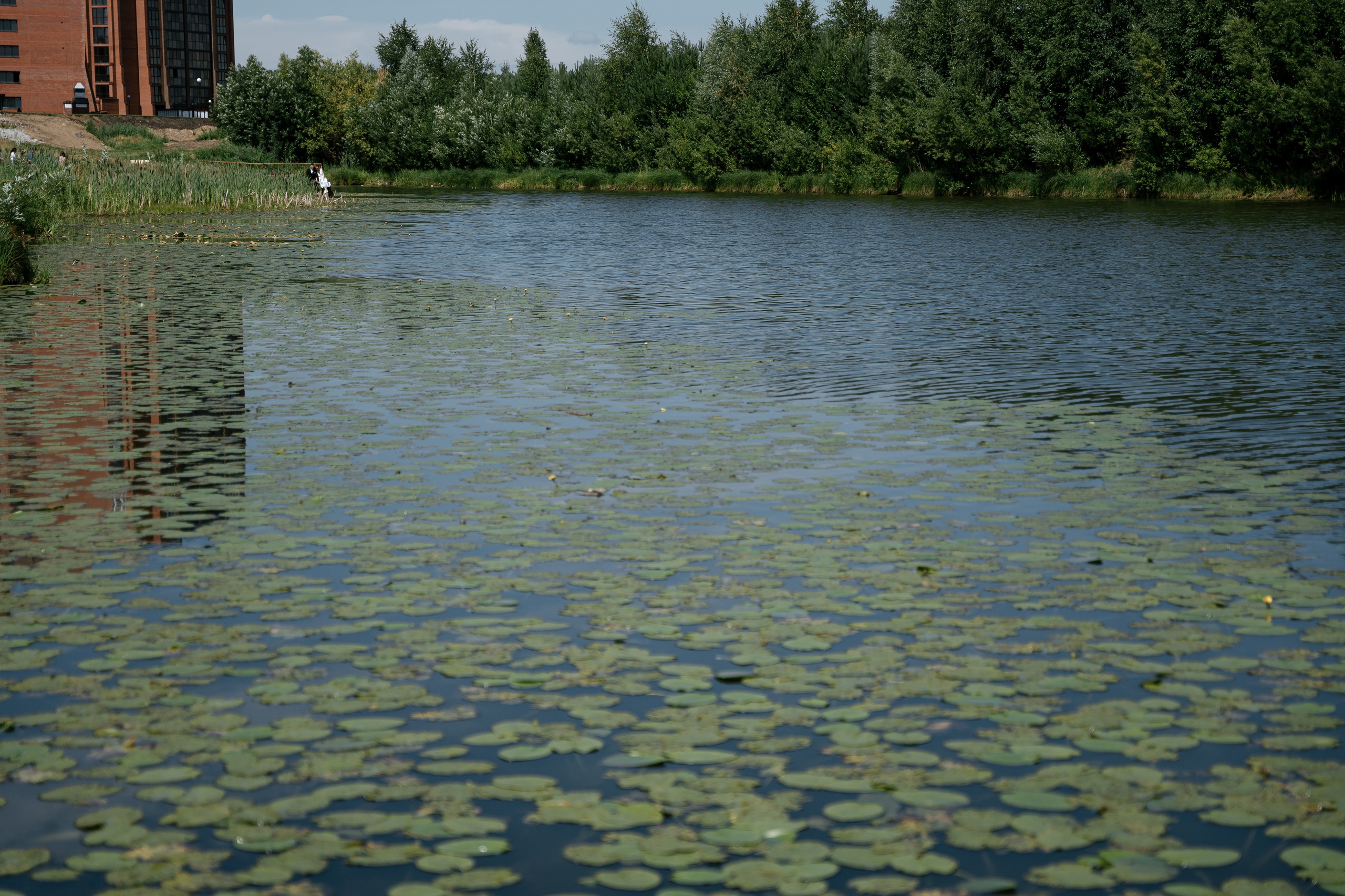 Витя и Аня. Фотограф Томск, Новосибирск Влад Свириденко