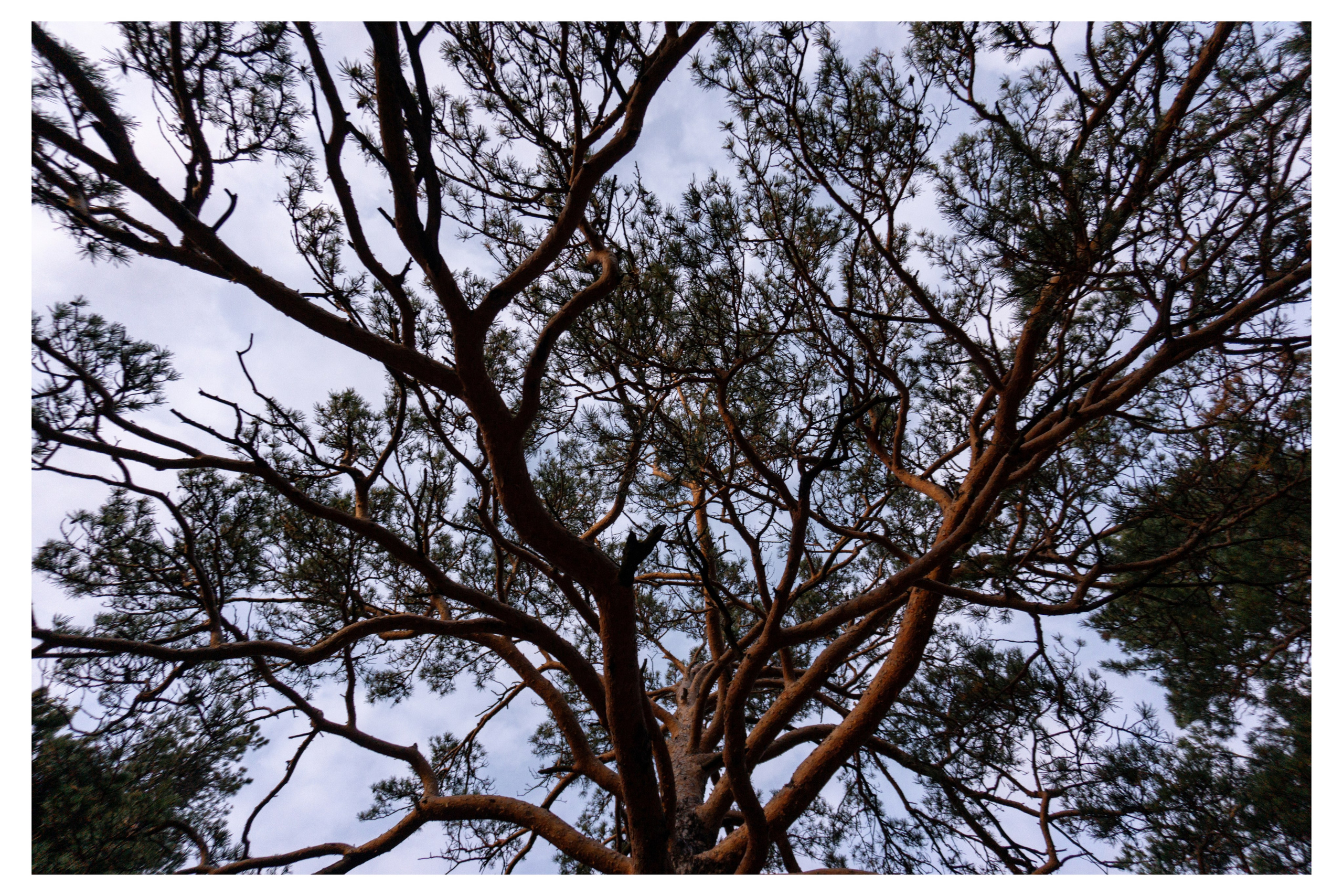 28.08.2025 | Красноярск. Kuznetsov | Фотограф в Красноярске