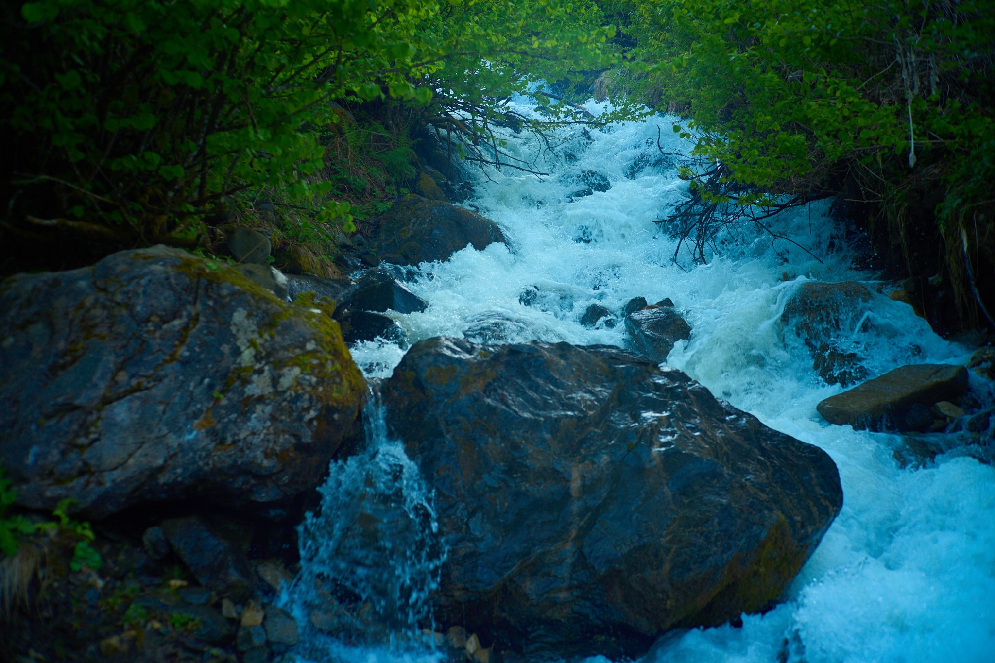 Красная Поляна, апрель 2024. Фотограф, Римма Невинская