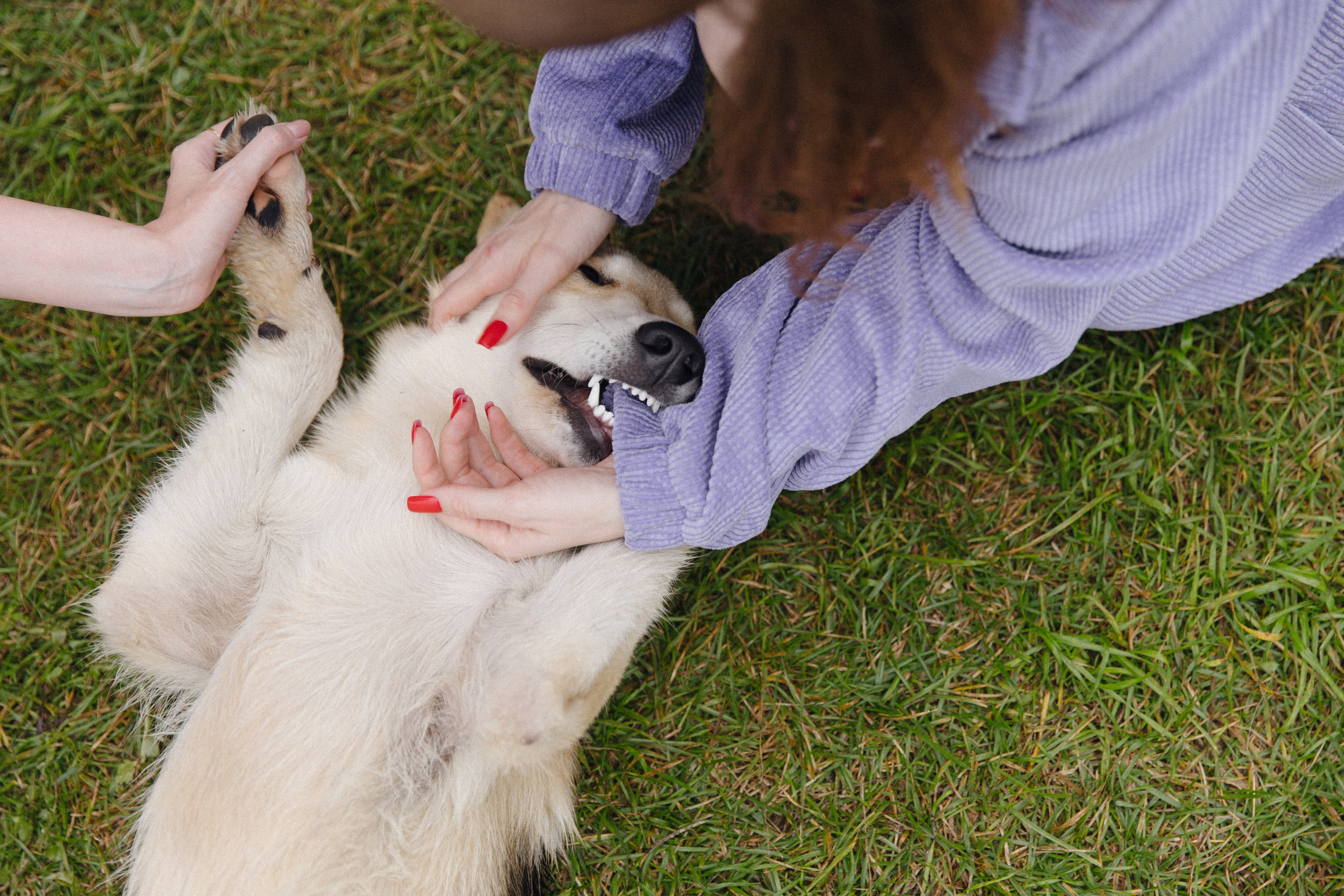 Отчет свадебного ужина для свадебного агентства It's a match. Свадебный фотограф Колесников Антон