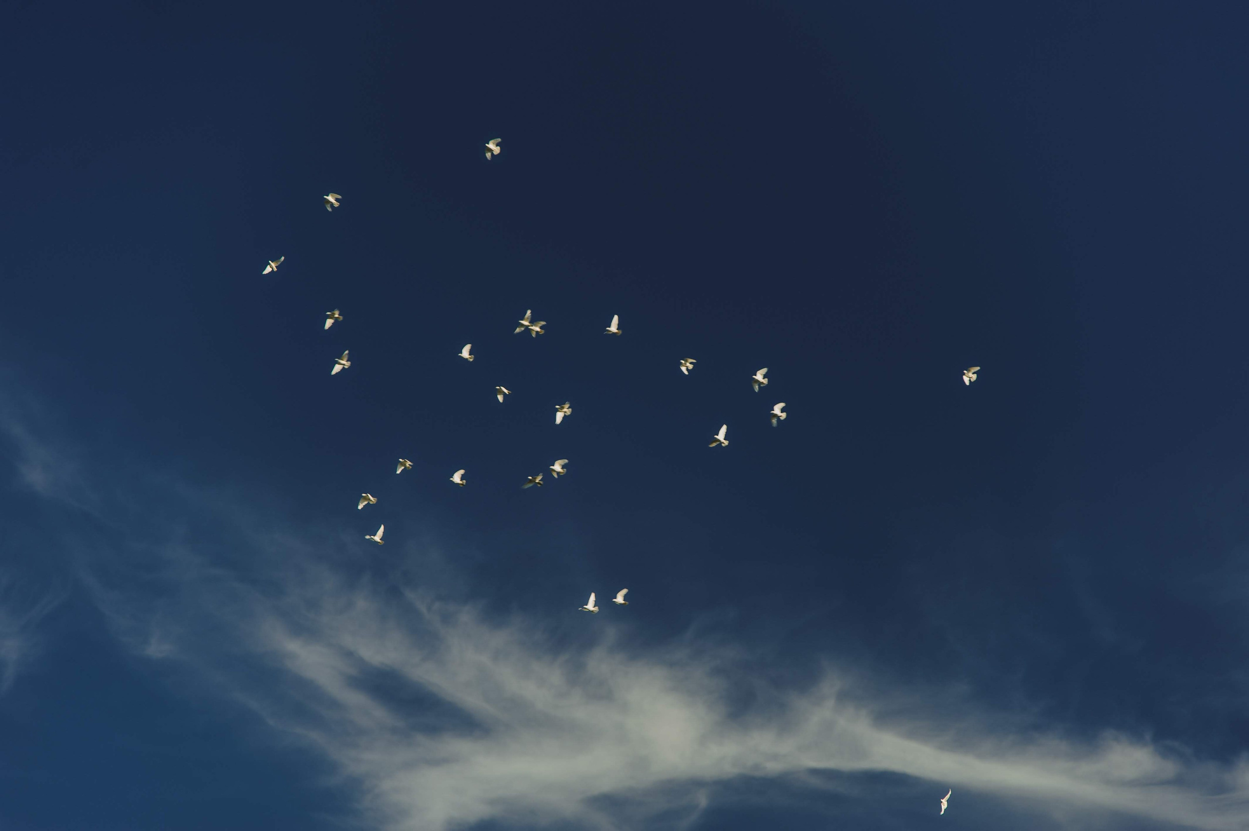 Выпускной. Фотограф Олег Юршевич Солигорск Минск