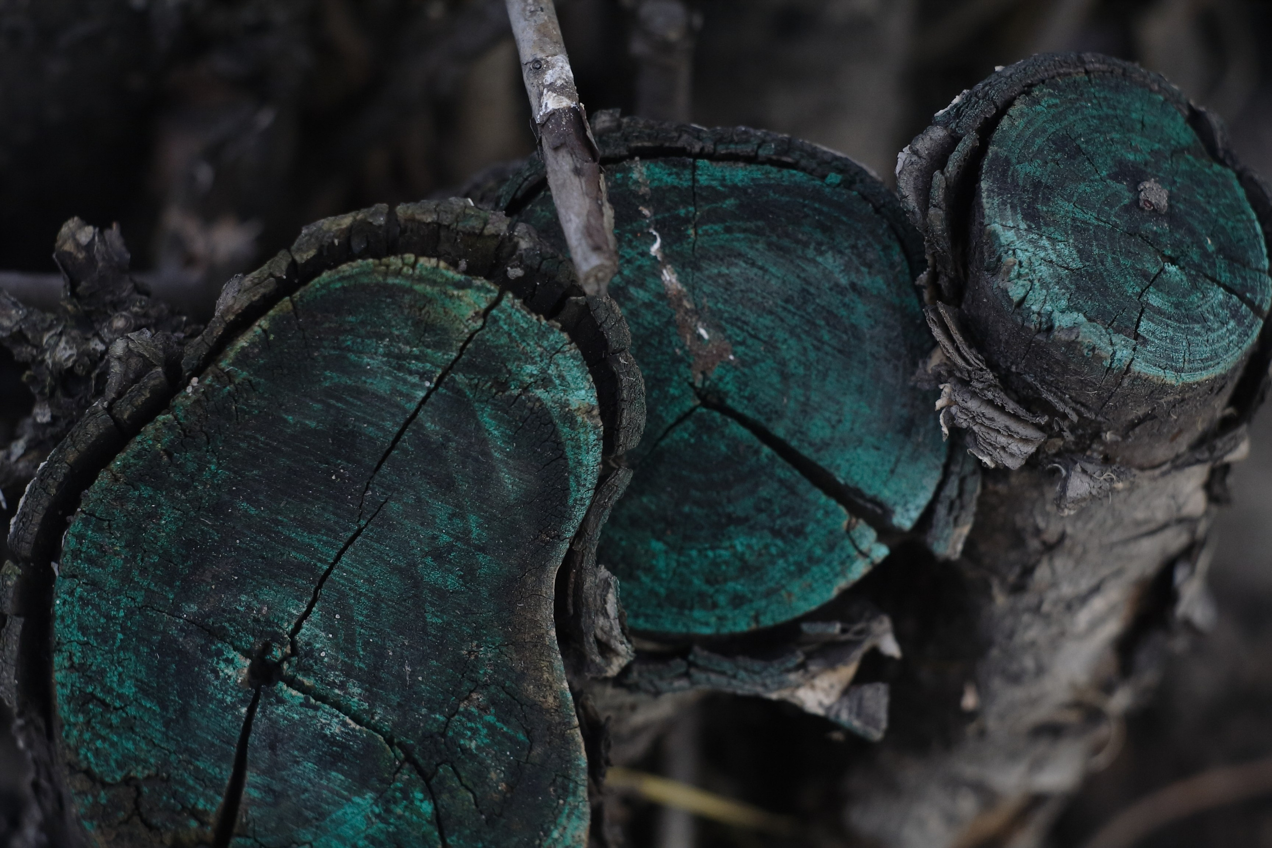 Старое природное, отбирала Katamount (Катерина Горохова). Главная