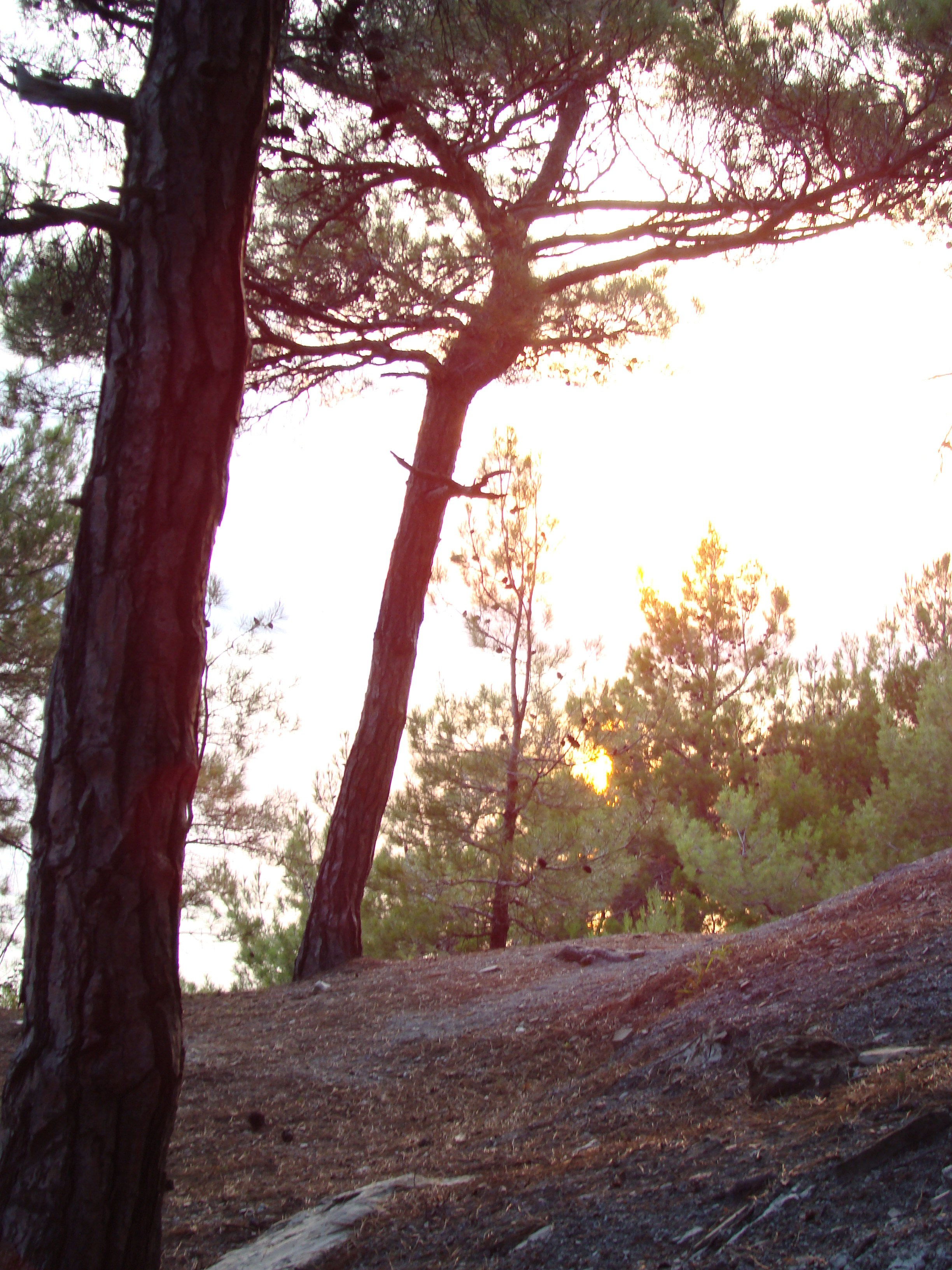 Кабардинка (фото Зевиных) 25.06-24.07.2008. Семейный, Свадебный фотограф СПБ Питер— Романова Екатерина