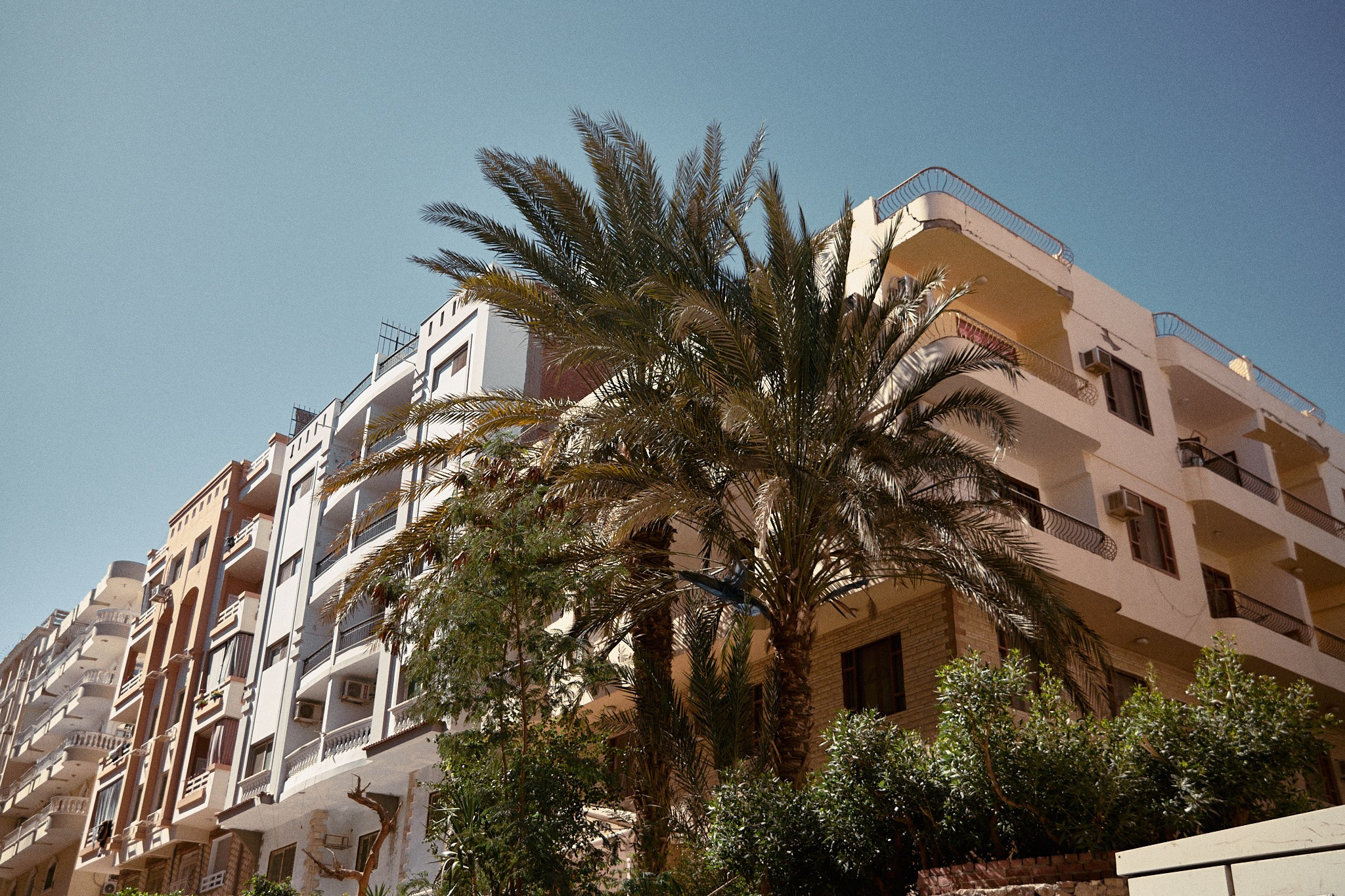 Улица горизонтальная. Jorgis — фотограф в Хургаде / обучение фотографии