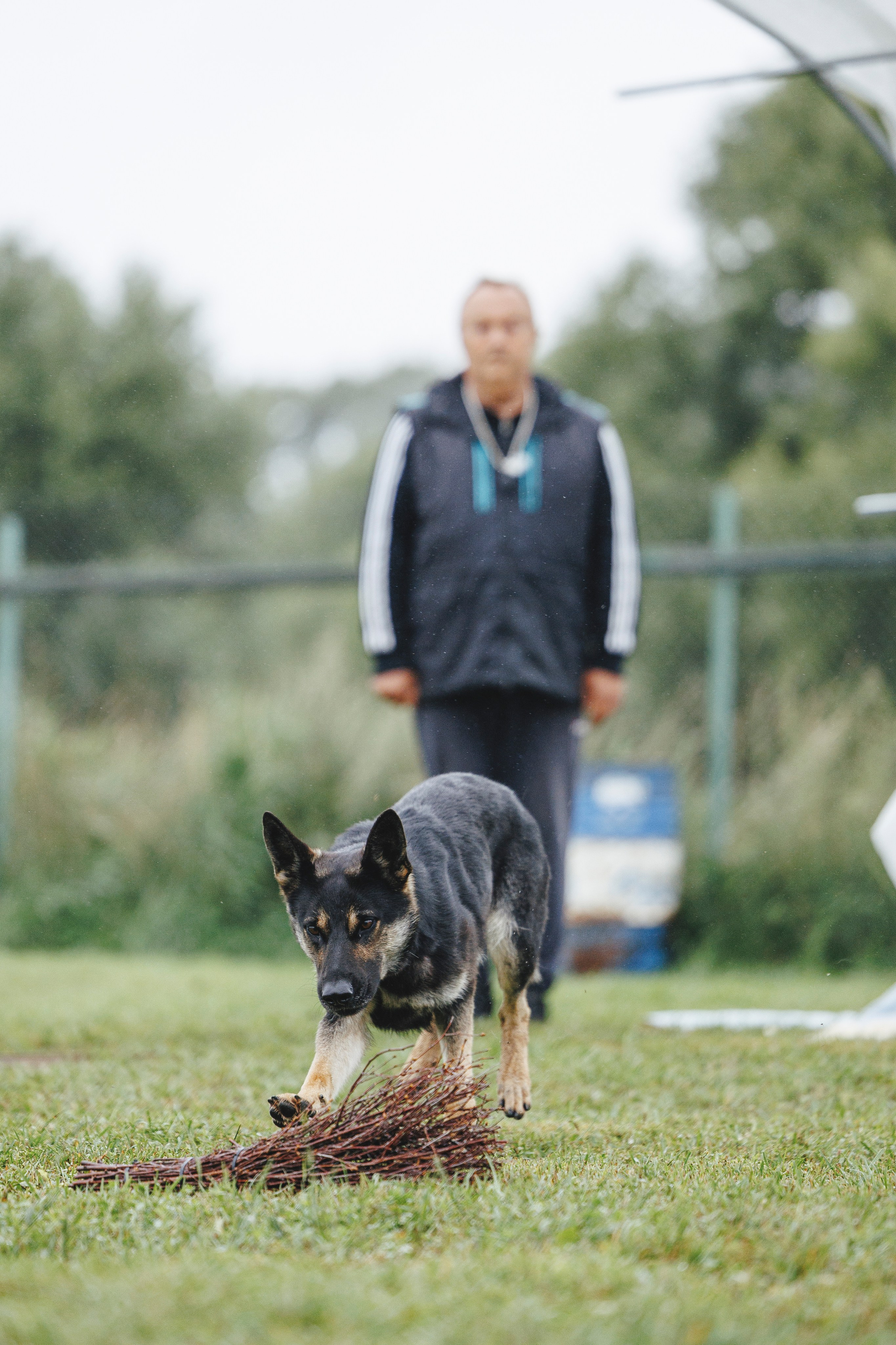 08.08.25-10.08.25 ЧР по мондьорингу г. Вологда. Фотограф-анималист Анна Маринич